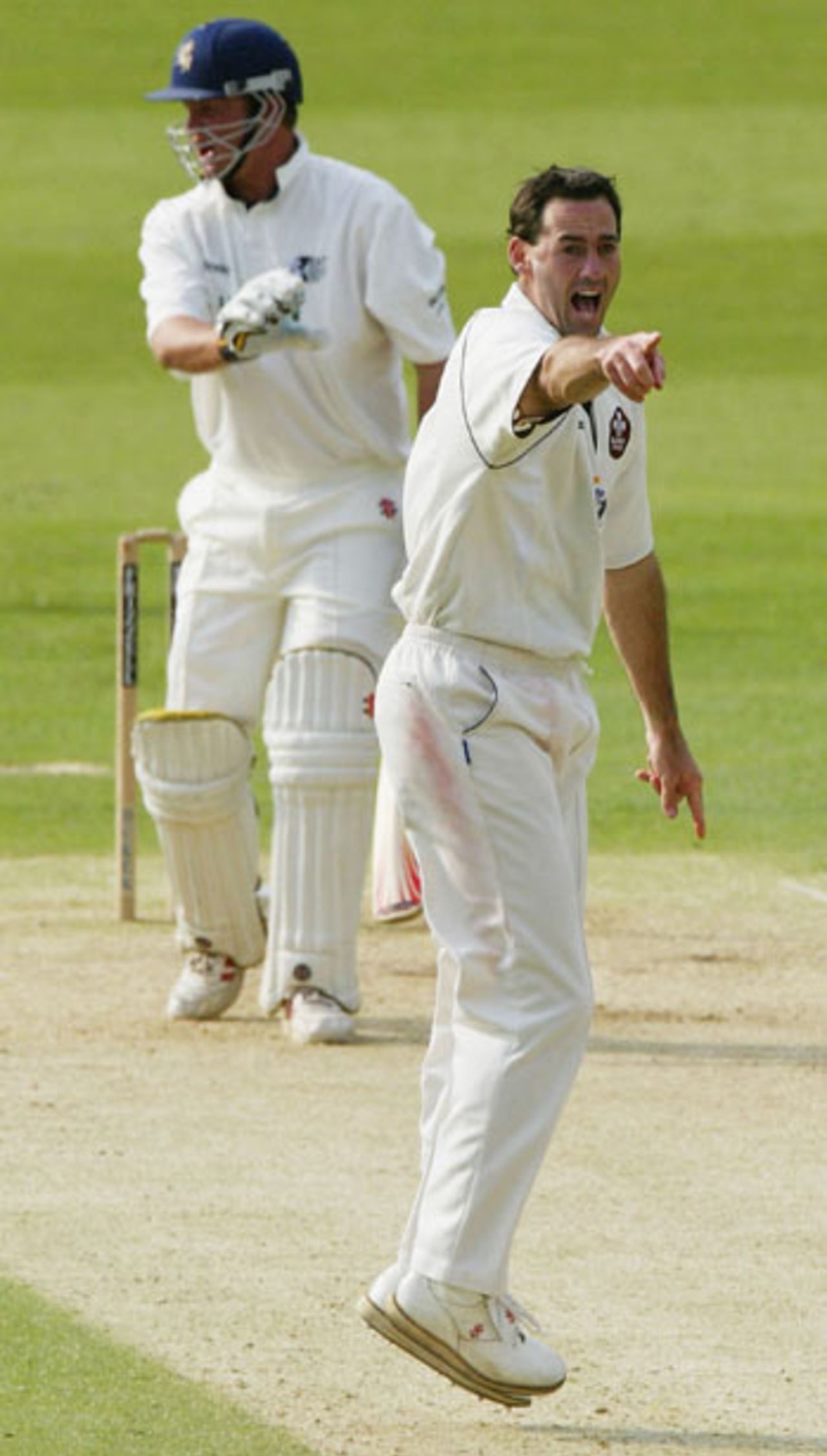 Martin Bicknell appeals for wicket No. 1000, Surrey v Kent, The Oval, May 27, 2004