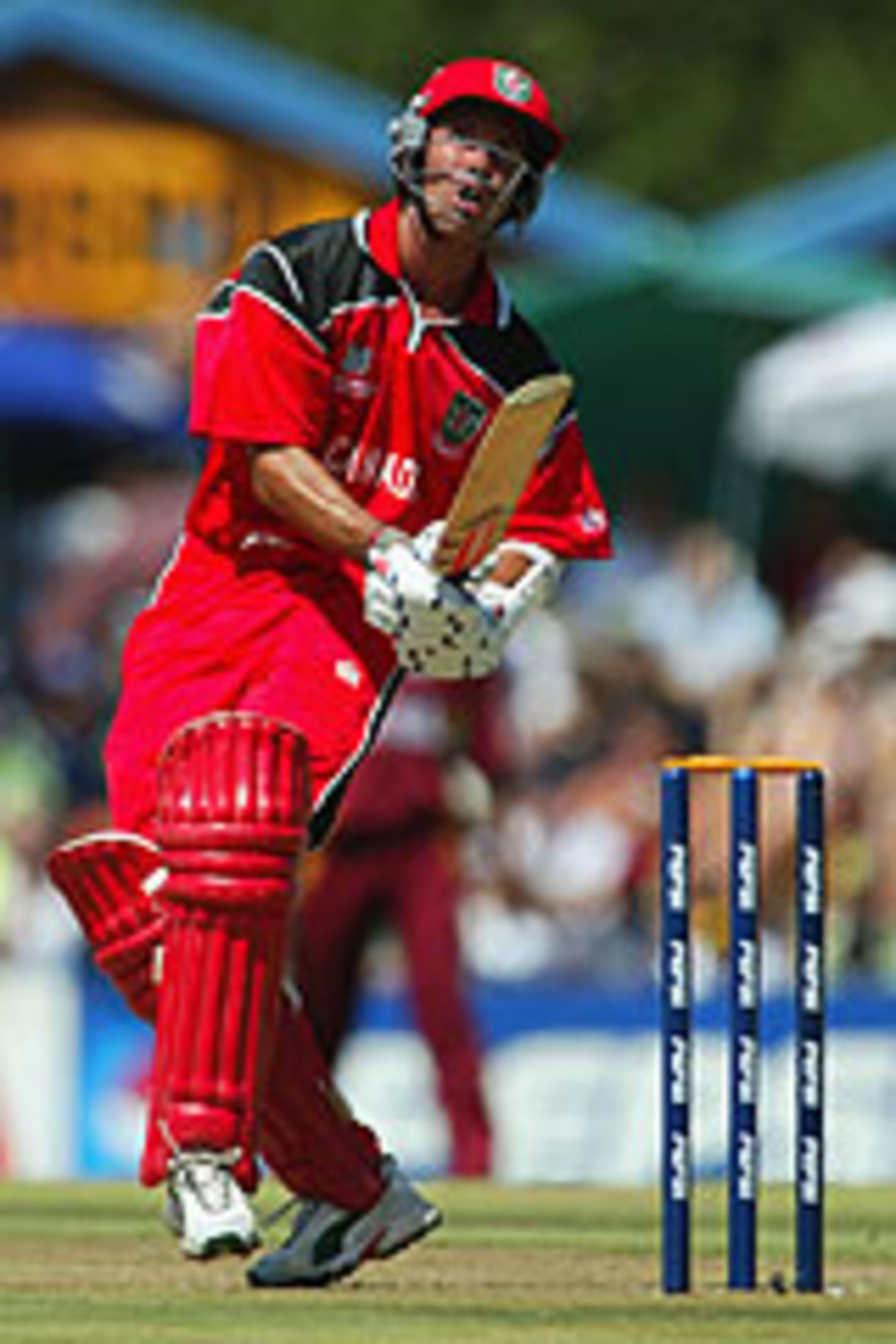 John Davison hooking on his way to a century, Canada v West Indies, World Cup 2003
