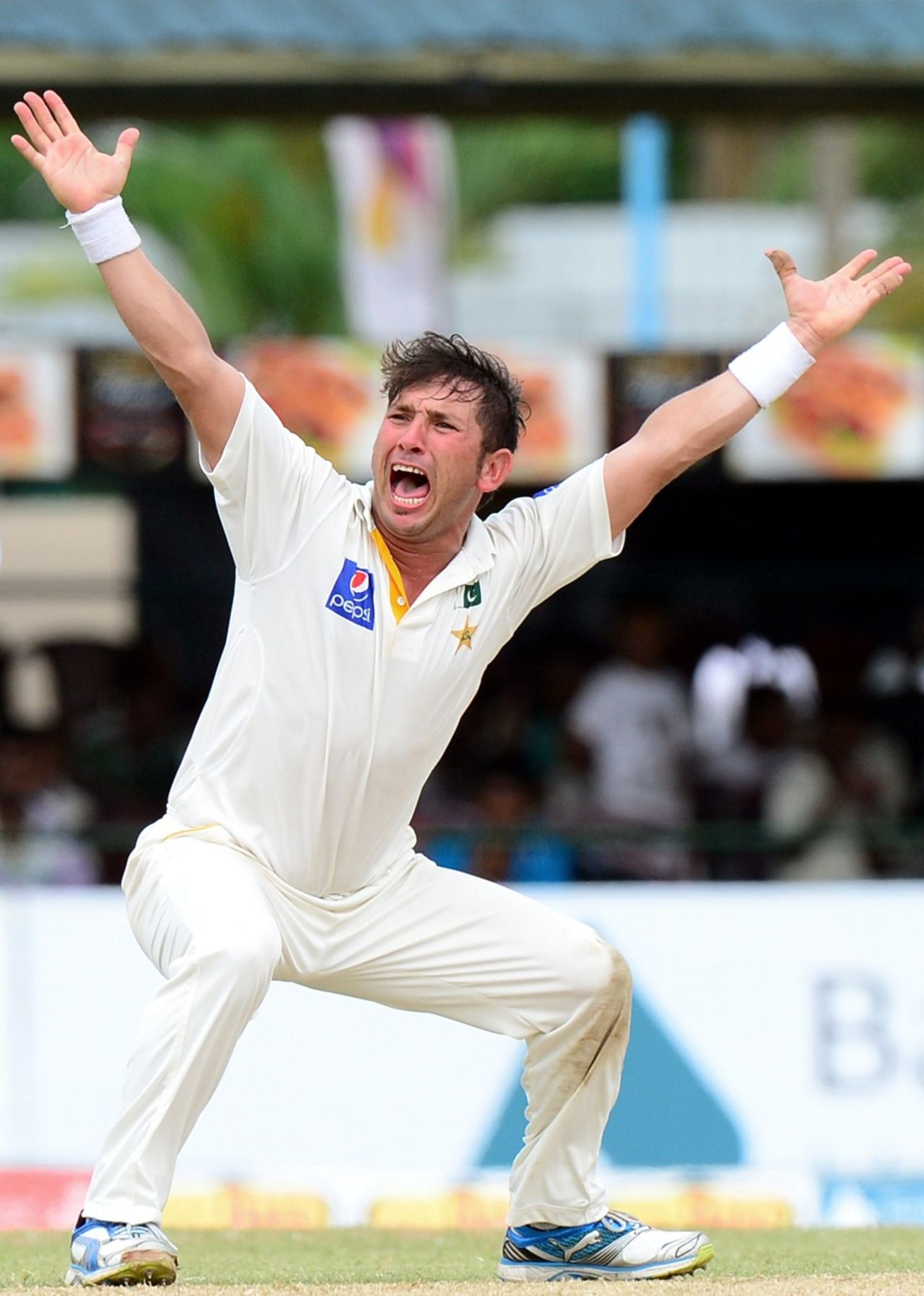 Yasir Shah roars an appeal,  Sri Lanka v Pakistan, 2nd Test, Colombo, 2nd day, June 26, 2015