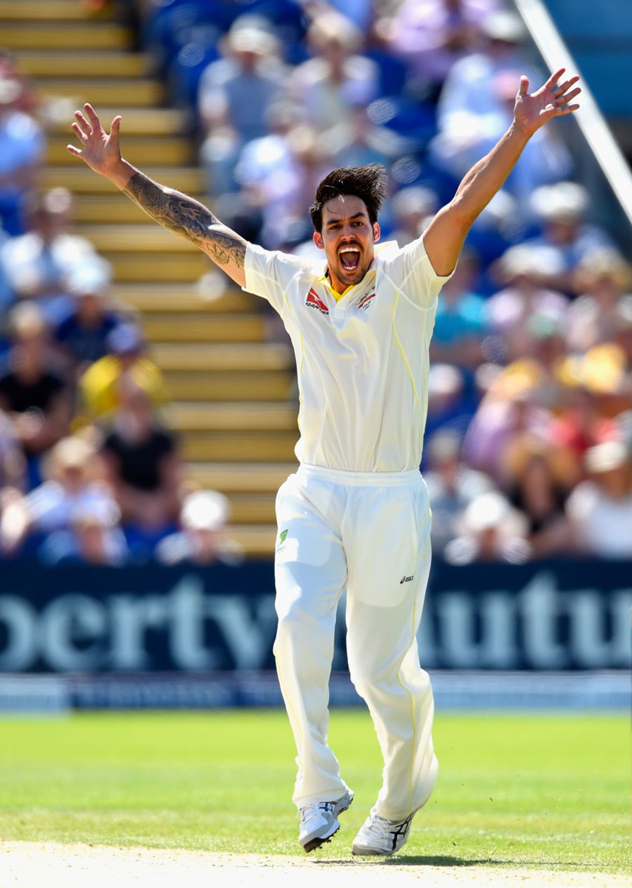 Mitchell Johnson appeals, but to no avail, England v Australia, 1st Investec Ashes Test, Cardiff, 3rd day, July 10, 2015