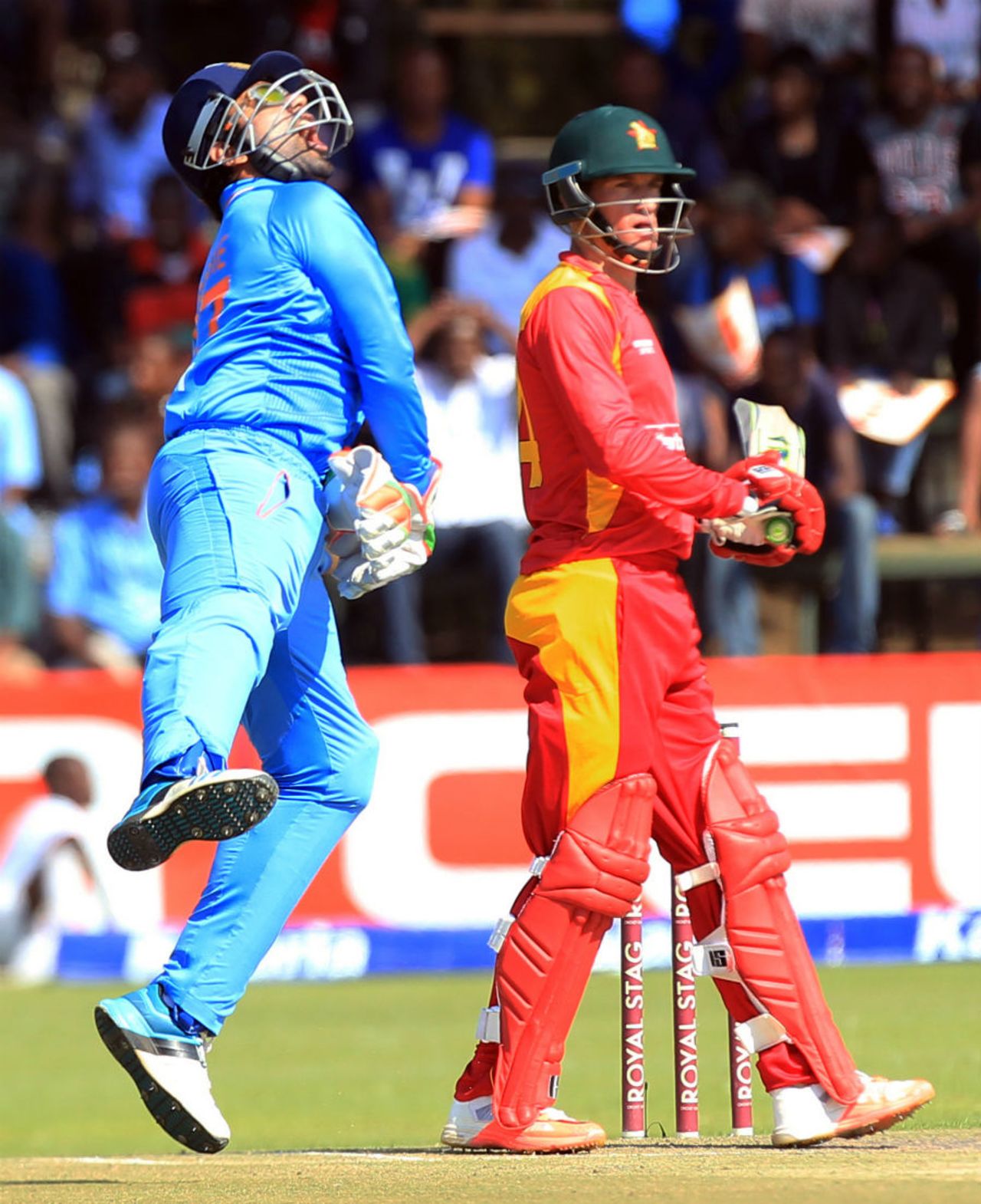 Robin Uthappa exults after the dismissal of Hamilton Masakadza, Zimbabwe v India, 2nd T20I, Harare, July 19, 2015
