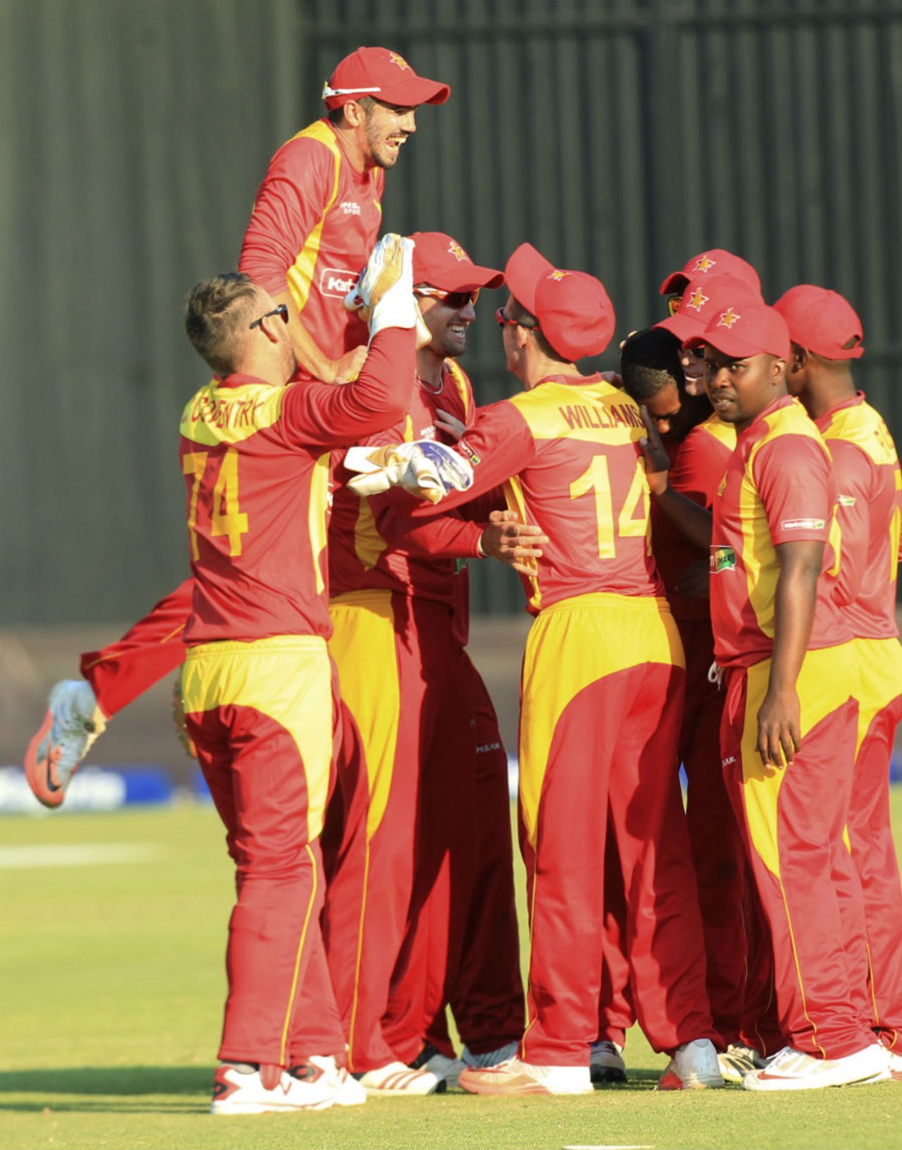 Graeme Creamer and his team-mates celebrate a wicket, Zimbabwe v India, 2nd T20I, Harare, July 19, 2015