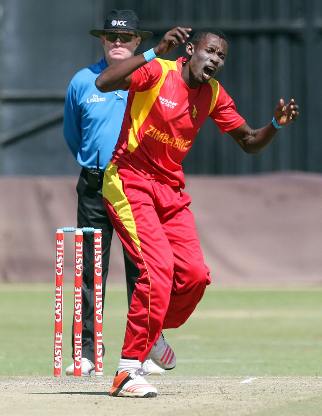 Chris Mpofu conceded 24 runs in his three overs, Zimbabwe v New Zealand, only T20I, Harare, August 9, 2015
