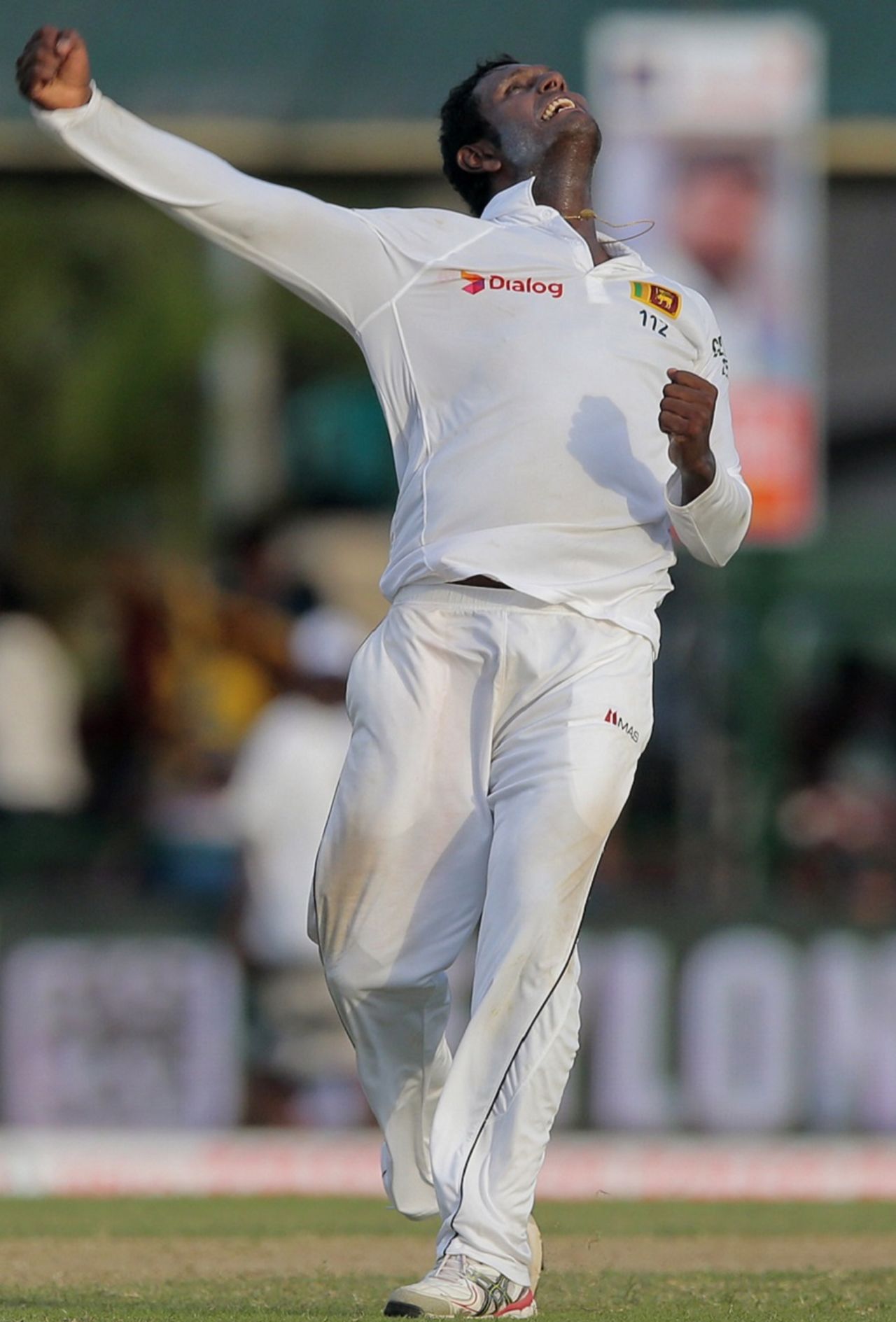 Angelo Mathews is over the moon after dismissing Rohit Sharma, Sri Lanka v India, 2nd Test, P Sara Oval, Colombo, 1st day, August 20, 2015
