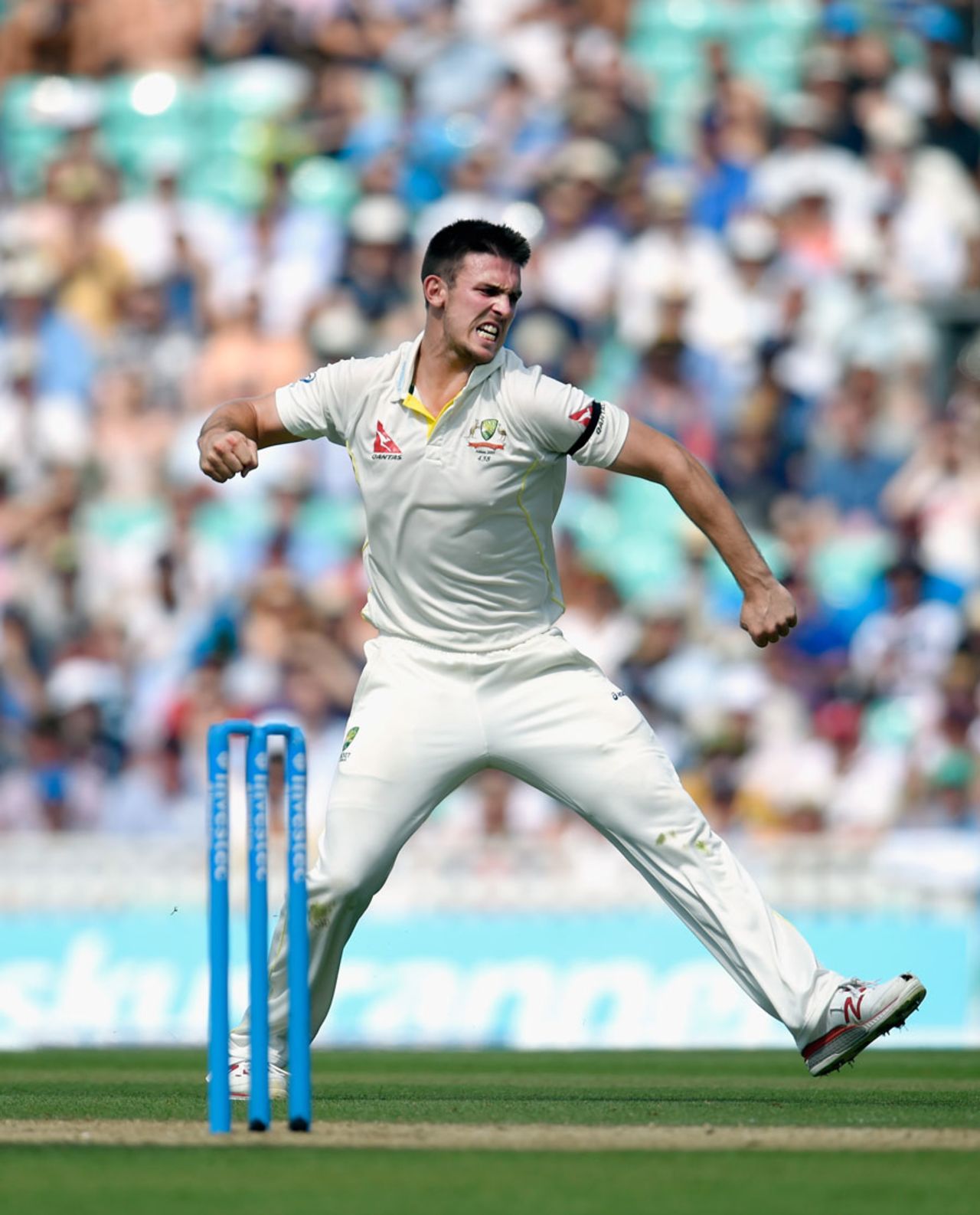 Australia's Mitchell Marsh celebrates the wicket of Ian Bell, England v Australia, 5th Investec Ashes Test, The Oval, 3rd day, August 22, 2015