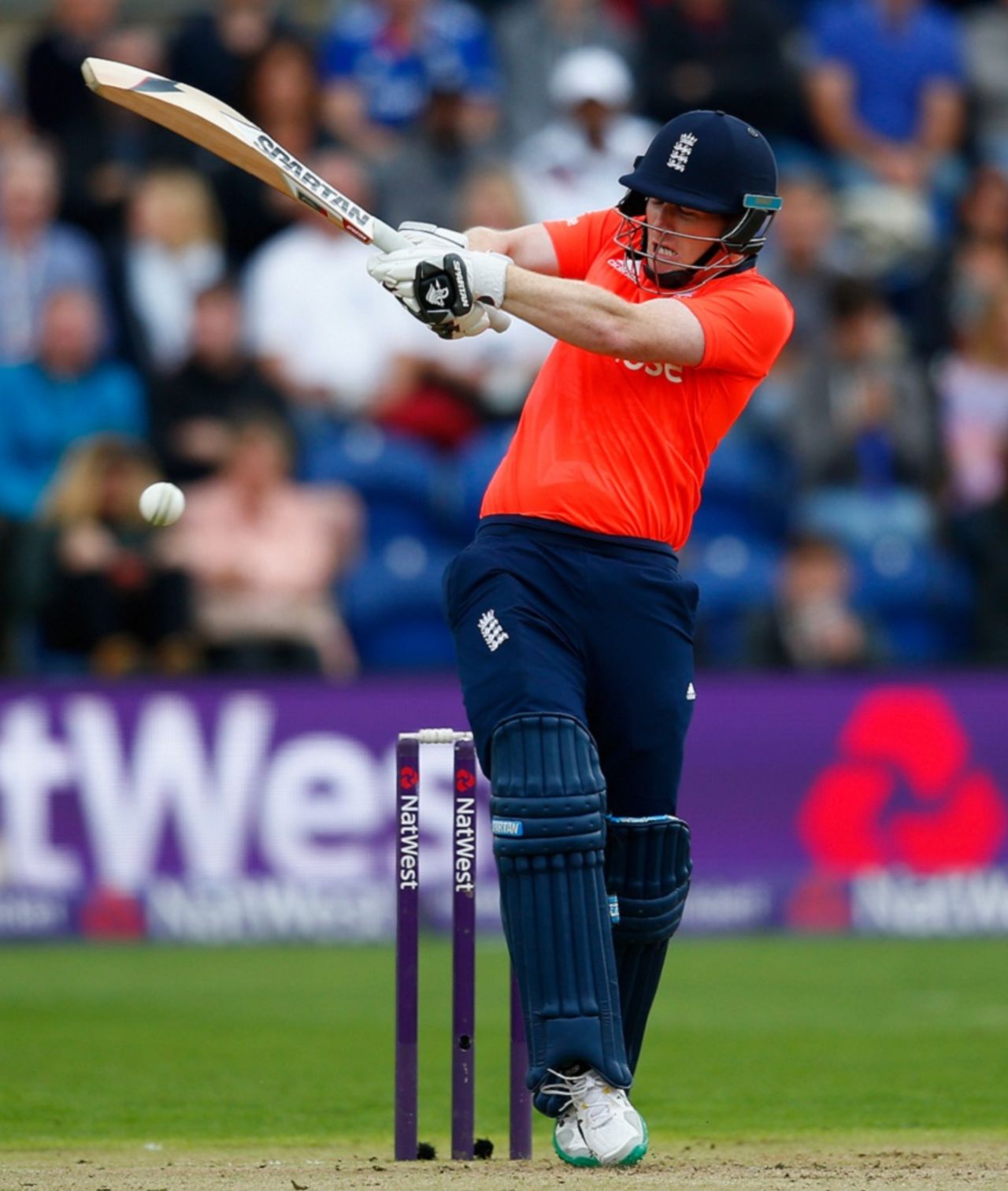 Eoin Morgan unleashes the pull, England v Australia, only T20, Cardiff, August 31, 2015
