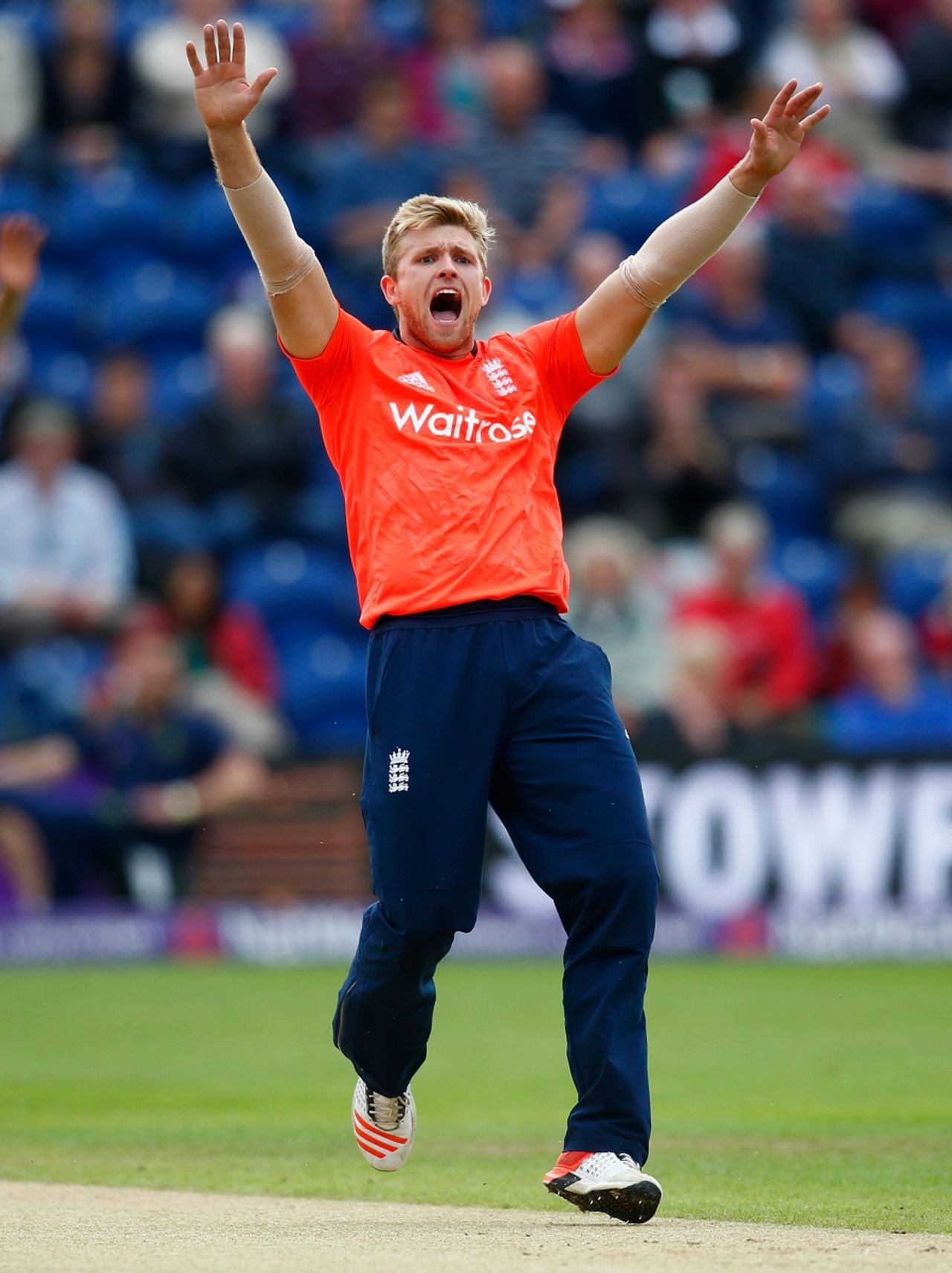 David Willey removed David Warner in his first over, England v Australia, only T20, Cardiff, August 31, 2015
