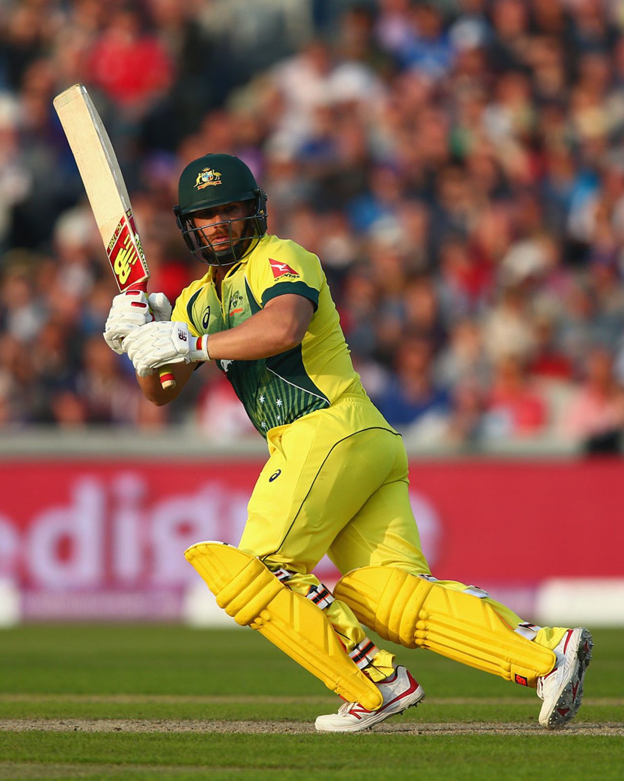 Aaron Finch played confidently for a half-century on his comeback, England v Australia, 3rd ODI, Old Trafford, September 8, 2015
