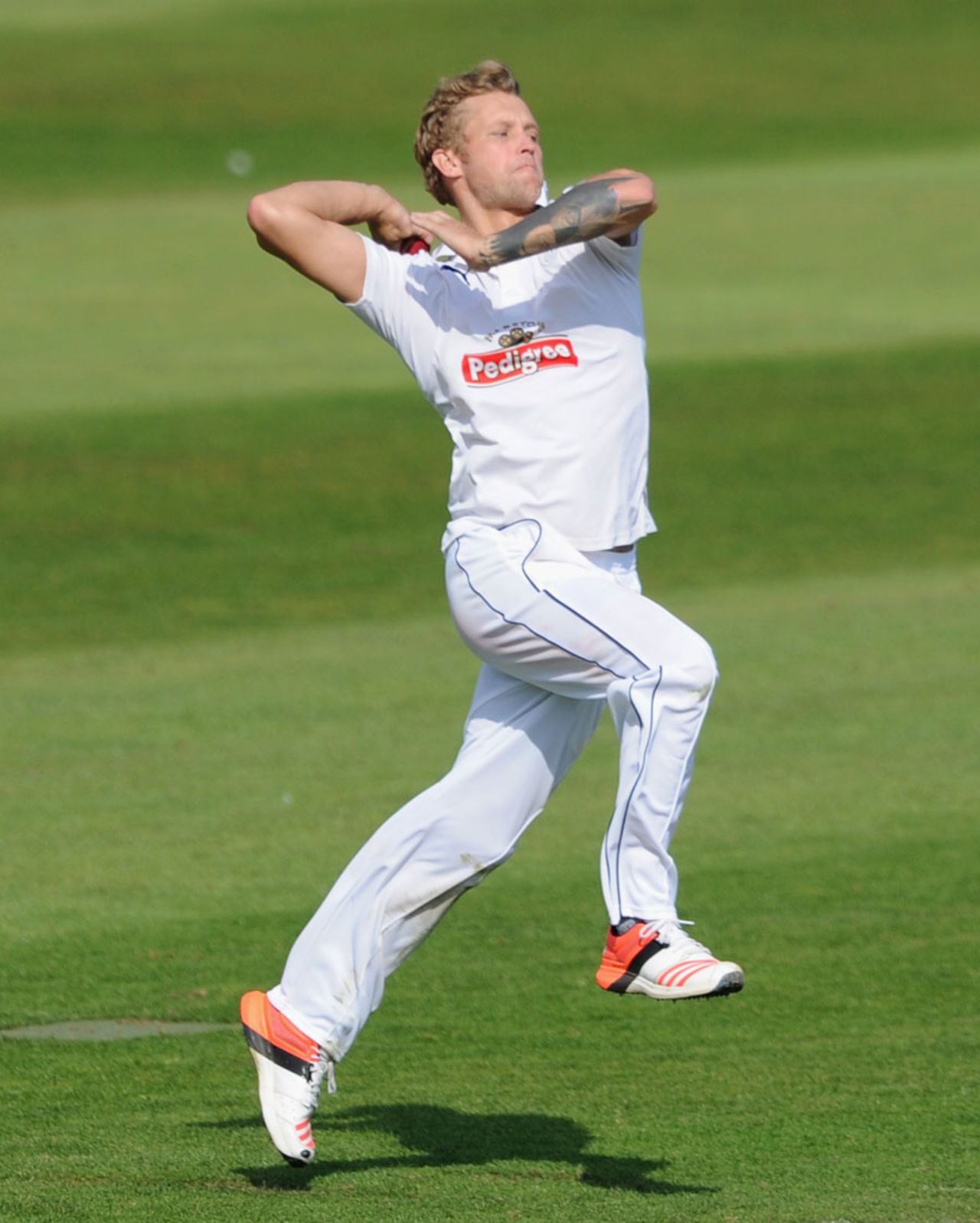 Gareth Berg provided a rare success by trapping Tom Abell lbw, Hampshire v Somerset, County Championship, Division One, Taunton, 2nd day, September 10, 2015