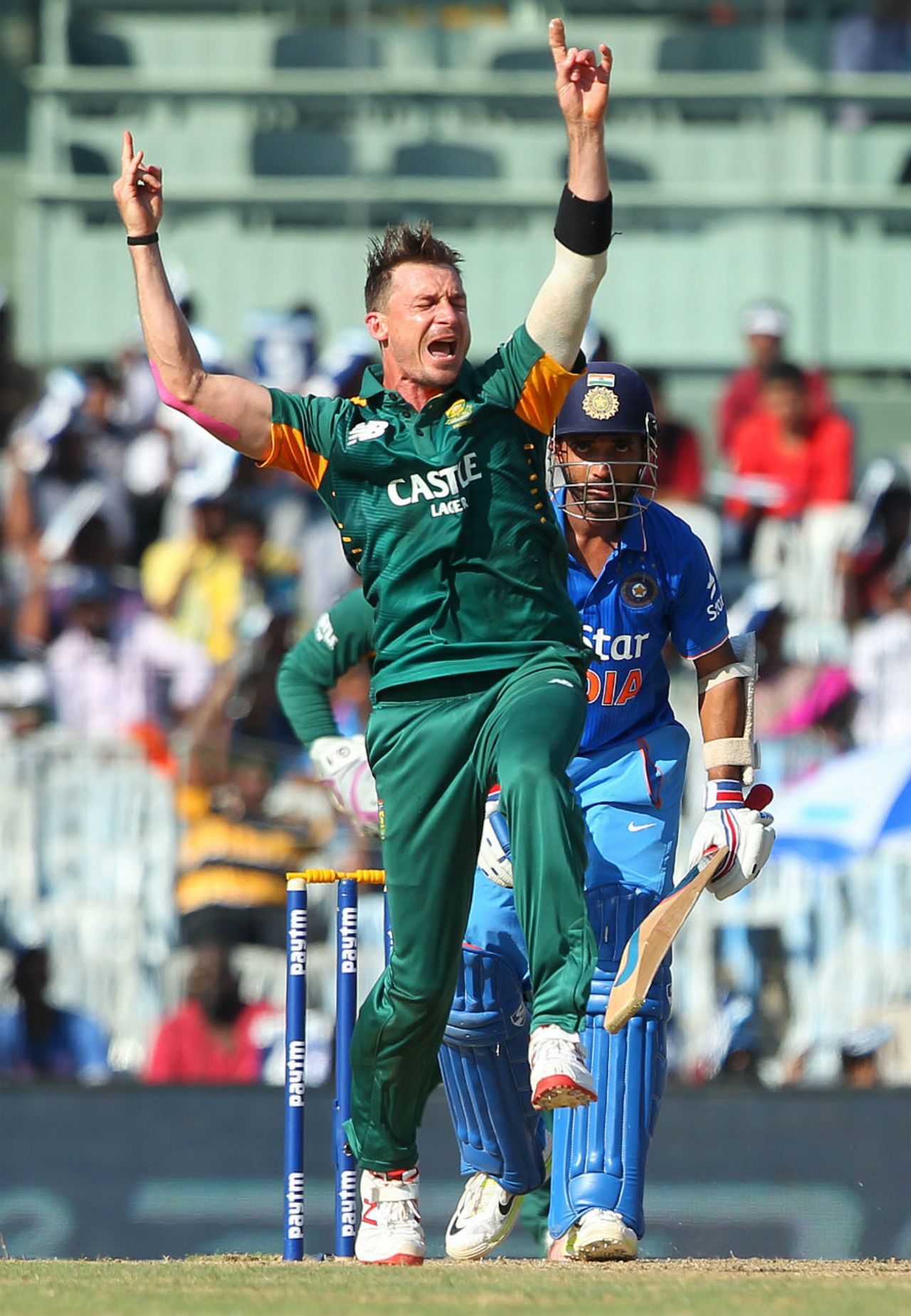 Dale Steyn is elated after dismissing Ajinkya Rahane, India v South Africa, 4th ODI, Chennai, October 22, 2015