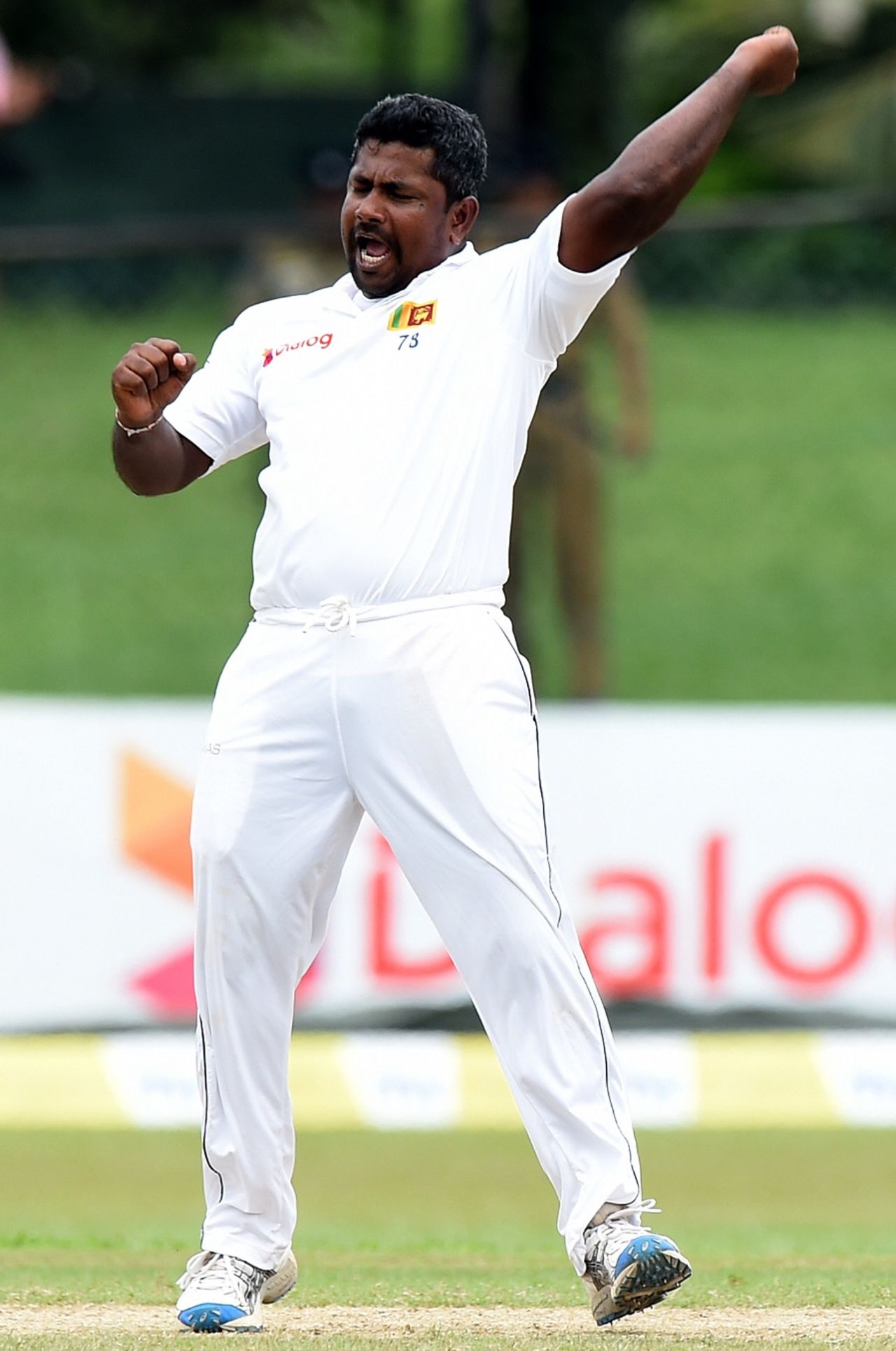 Rangana Herath roars after taking a wicket, Sri Lanka v West Indies, 2nd Test, P Sara Oval, Colombo, 5th day, October 26, 2015