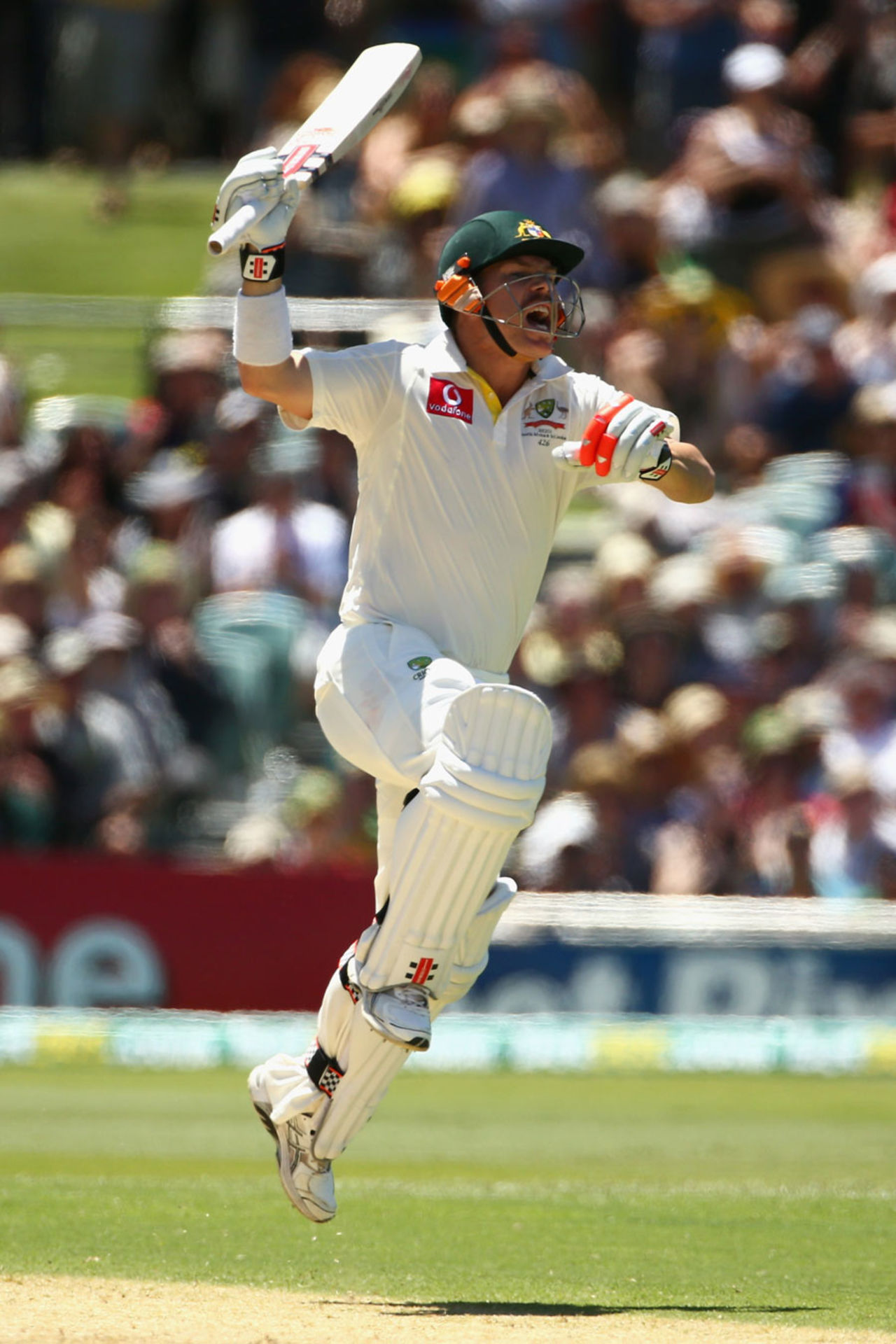 David Warner jumps for joy after his century, Australia v South Africa, 2nd Test, Adelaide, 1st day, November 22, 2012