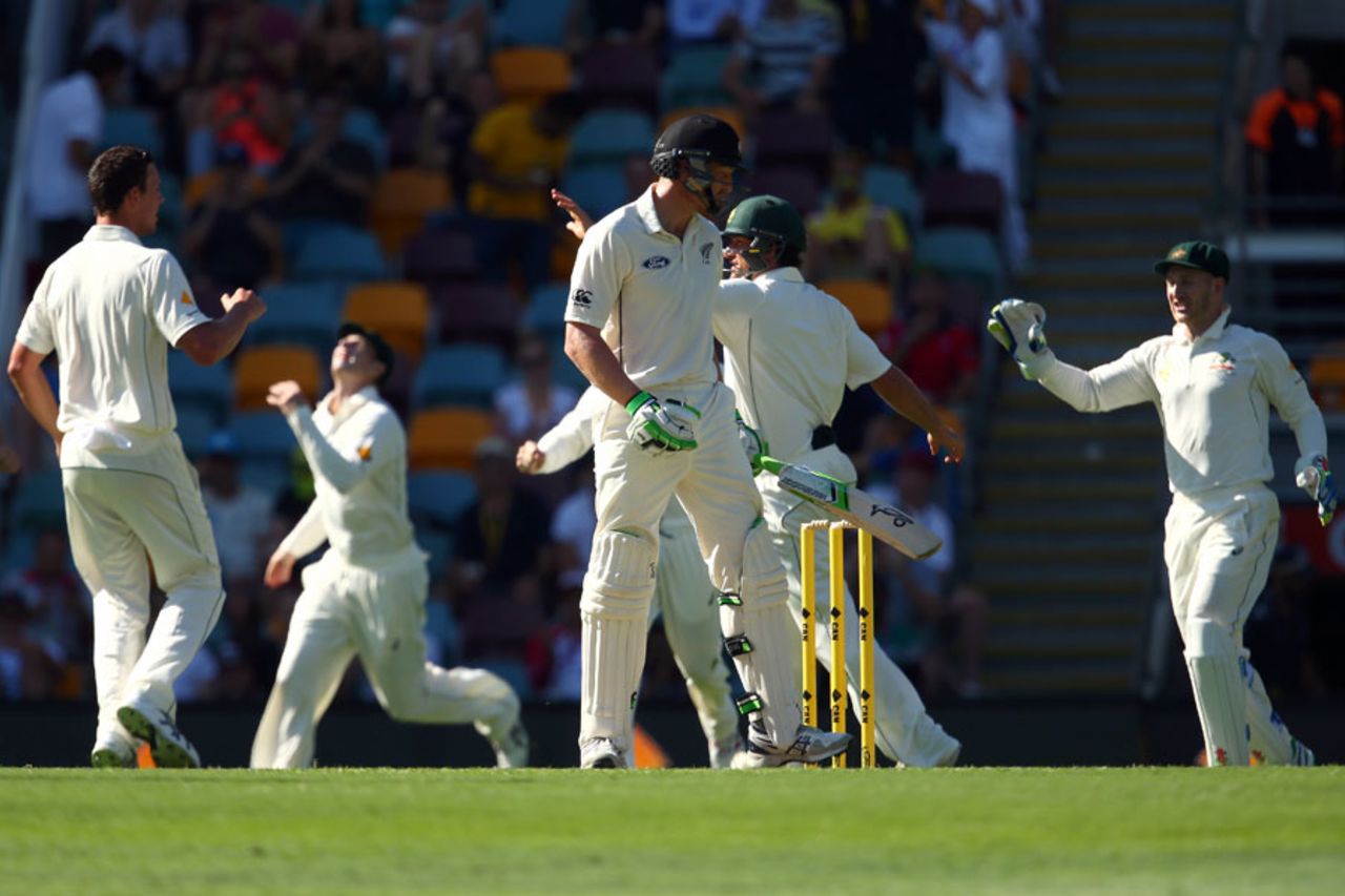Australia celebrate as Martin Guptill walks off, Australia v New Zealand, 1st Test, Brisbane, 2nd day, November 6, 2015