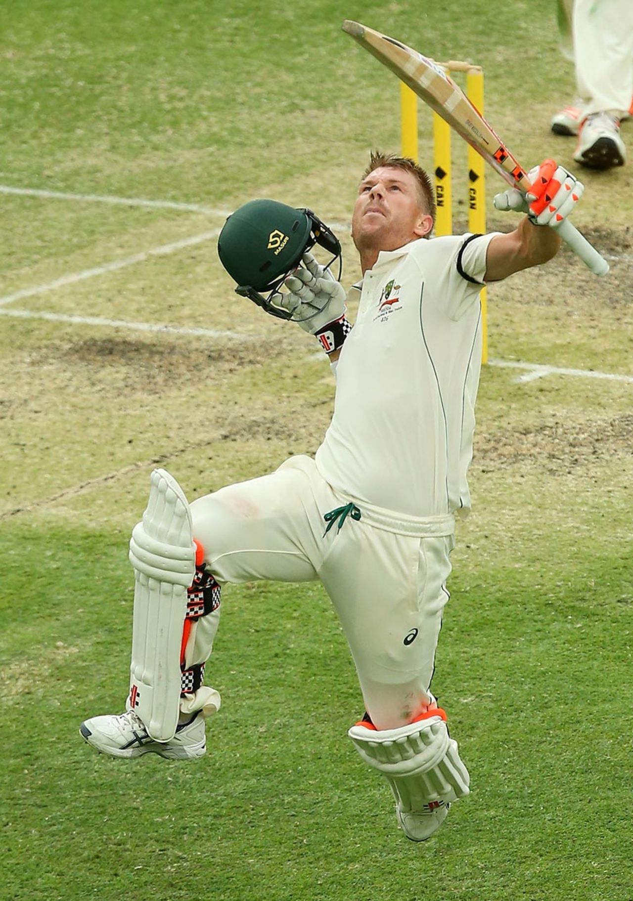 The trademark David Warner leap on reaching a century, Australia v New Zealand, 1st Test, Brisbane, 3rd day, November 7, 2015