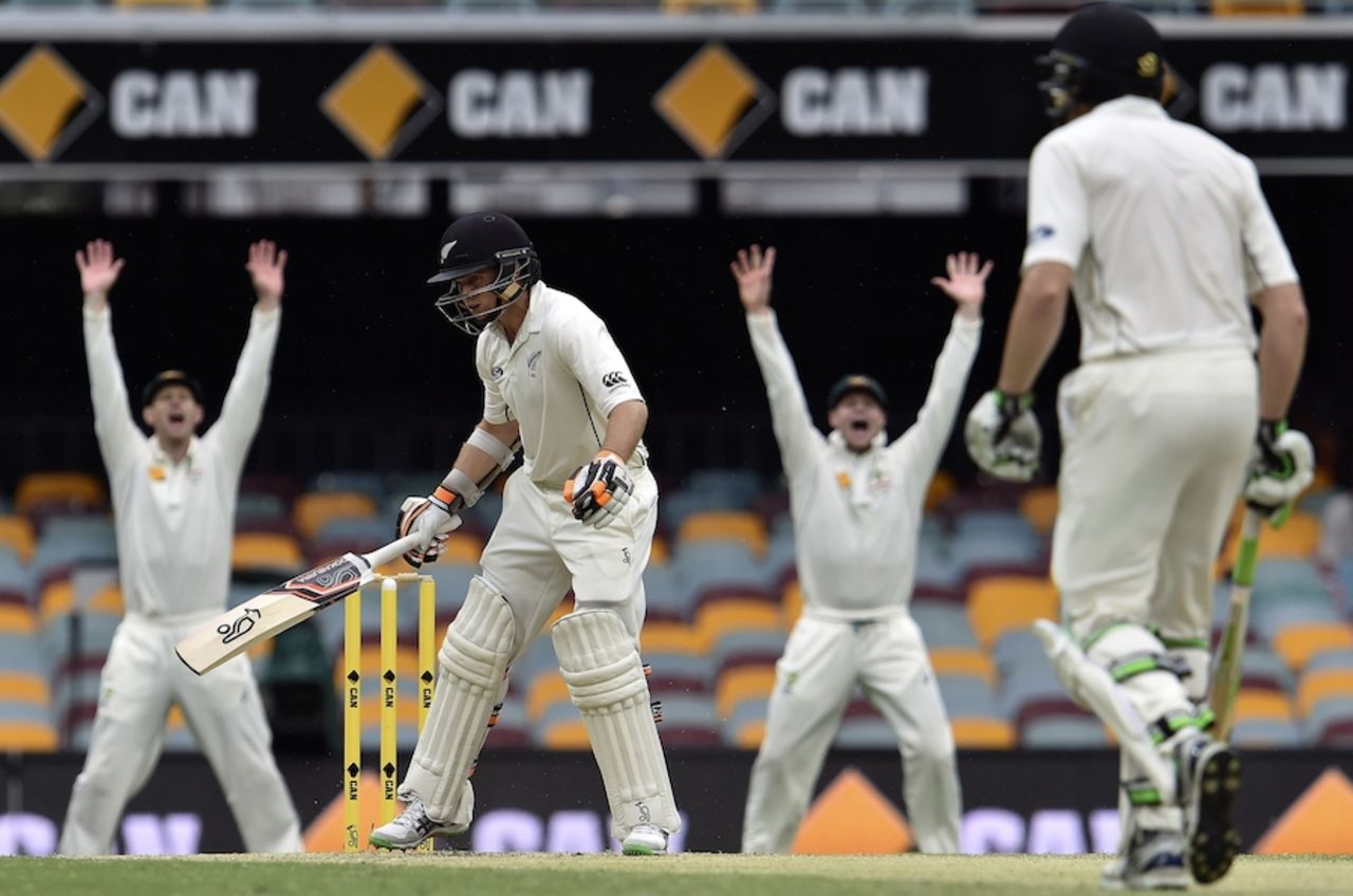The Australian players appeal for Tom Latham's wicket, Australia v New Zealand, 1st Test, Brisbane, 4th day, November 8, 2015