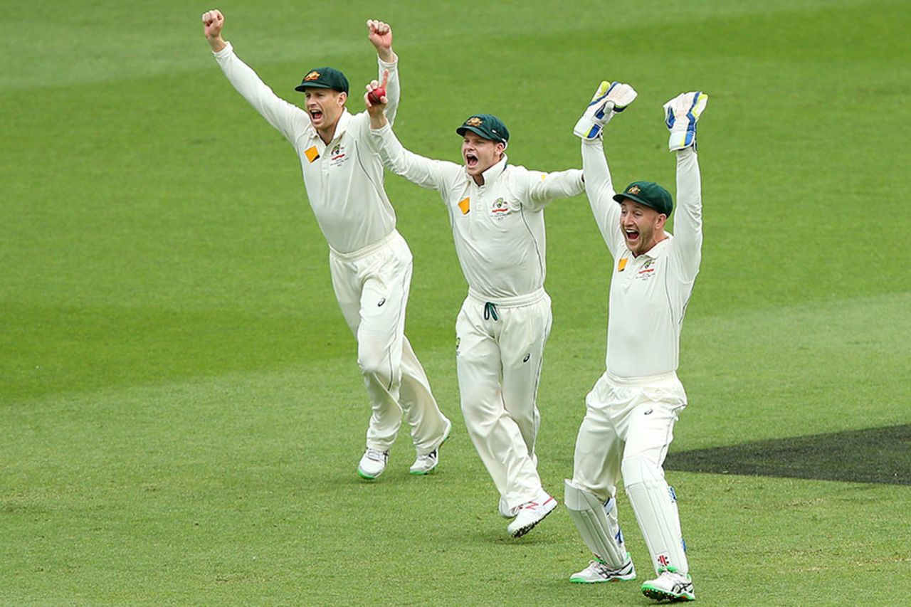 Australia appeal after Steven Smith catches Ross Taylor at slip, Australia v New Zealand, 1st Test, Brisbane, 5th day, November 9, 2015