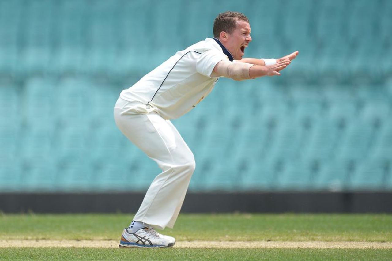 Peter Siddle appeals, New South Wales v Victoria, Sheffield Shield, Sydney, 2nd day, 7th November, 2015
