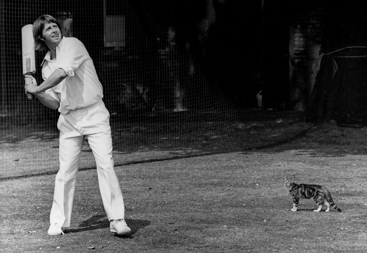 A cat watches Jeff Thomson bat at Lord's, July 30, 1975