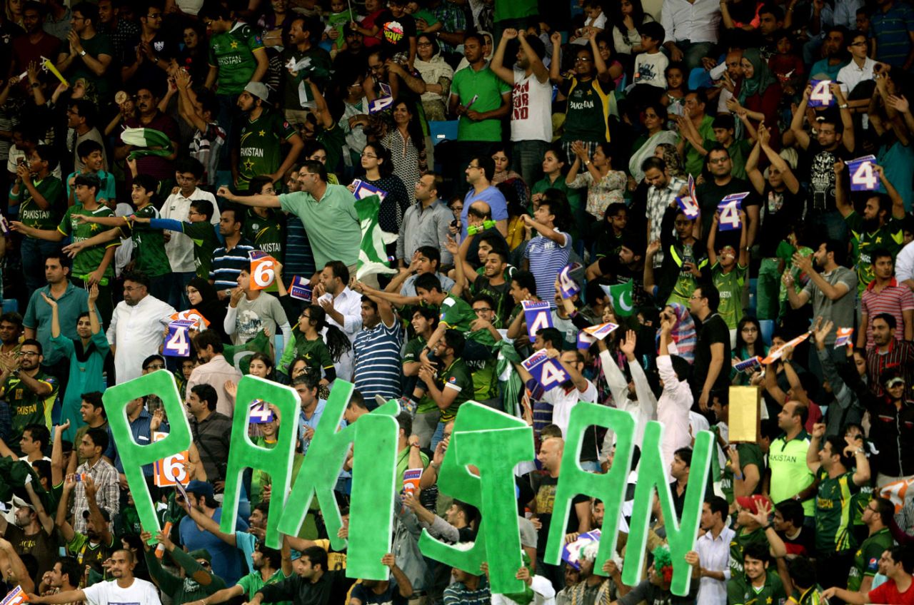 Pakistan fans show their support, Pakistan v South Africa, 2nd T20I, Dubai, November 15, 2013