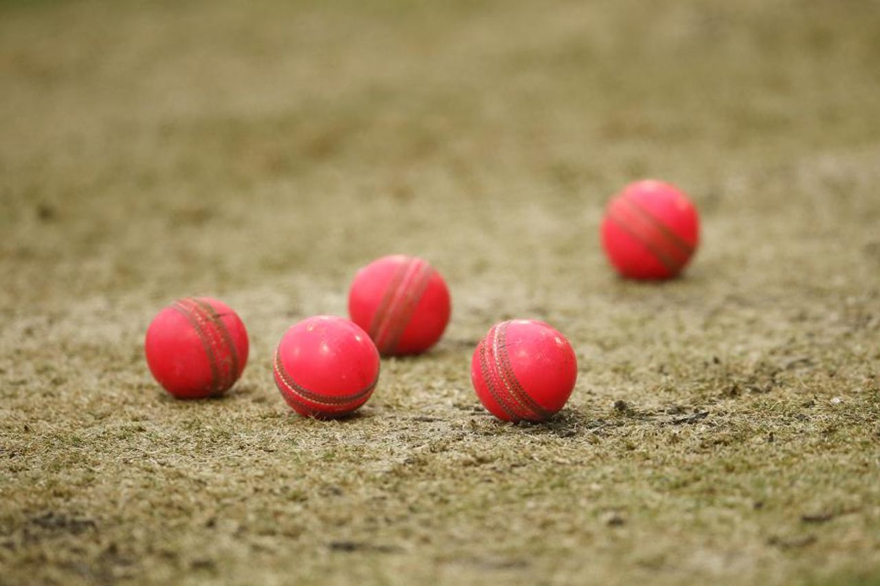 Pink balls on the pitch at New Zealand's training session, Adelaide, November 25, 2015