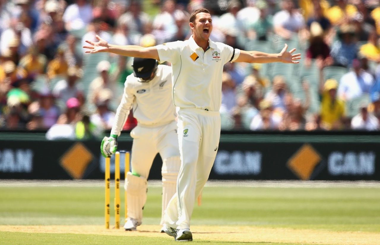 Josh Hazlewood nailed Martin Guptill lbw, Australia v New Zealand, 3rd Test, Adelaide, November 27, 2015