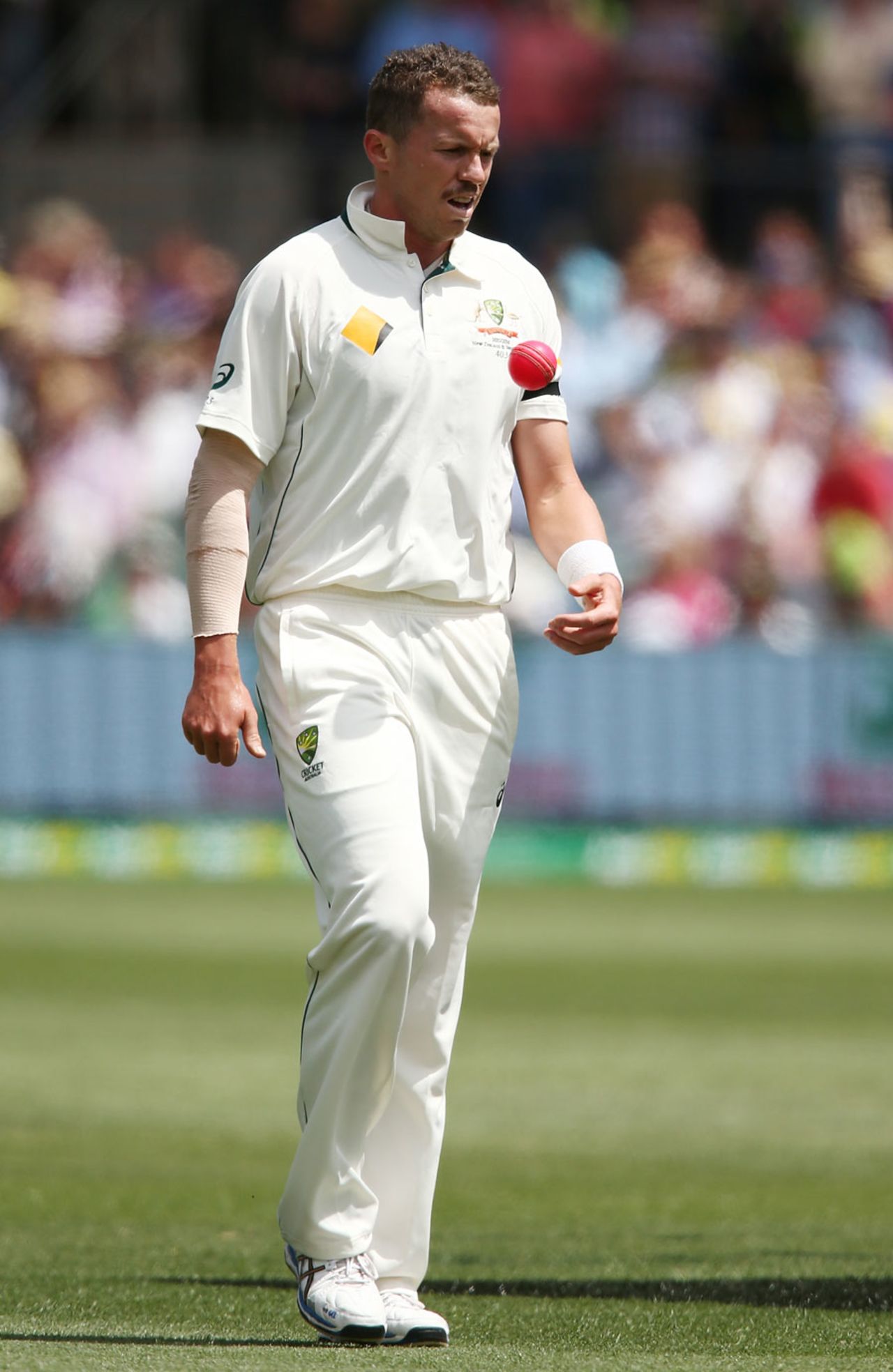 Peter Siddle was back in the Test side, Australia v New Zealand, 3rd Test, Adelaide, November 27, 2015