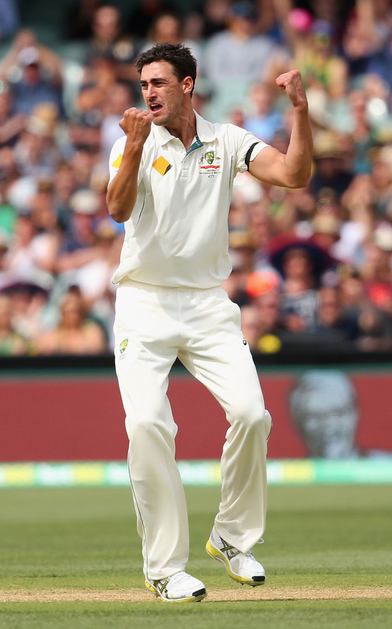 Mitchell Starc removed Kane Williamson with a yorker, Australia v New Zealand, 3rd Test, Adelaide, November 27, 2015