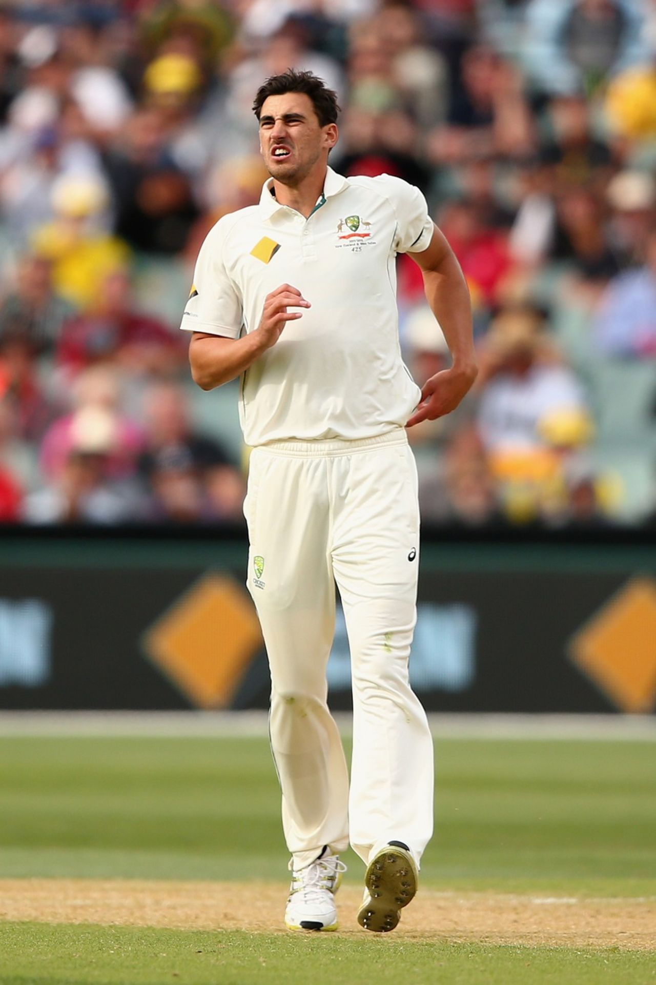 Mitchell Starc grimaces after hurting his ankle again, Australia v New Zealand, 3rd Test, Adelaide, November 27, 2015