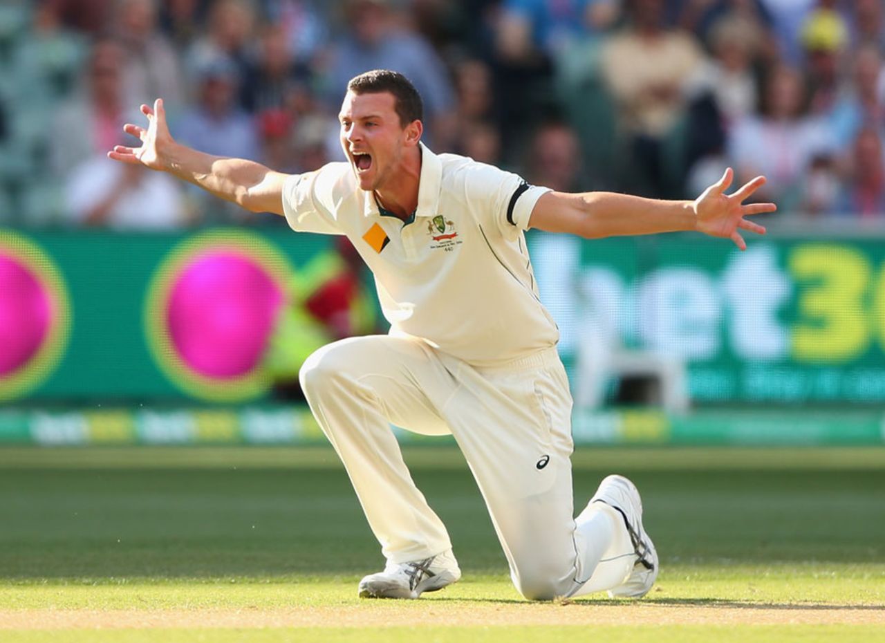 Josh Hazlewood roars out an unsuccessful appeal, Australia v New Zealand, 3rd Test, Adelaide, 2nd day, November 28, 2015