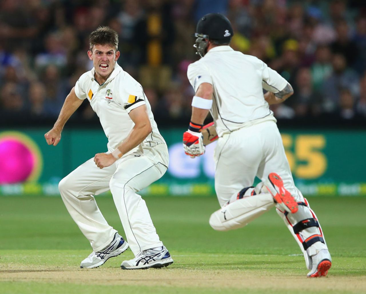 Mitchell Marsh is more than pleased after trapping Brendon McCullum in front, Australia v New Zealand, 3rd Test, Adelaide, 2nd day, November 28, 2015
