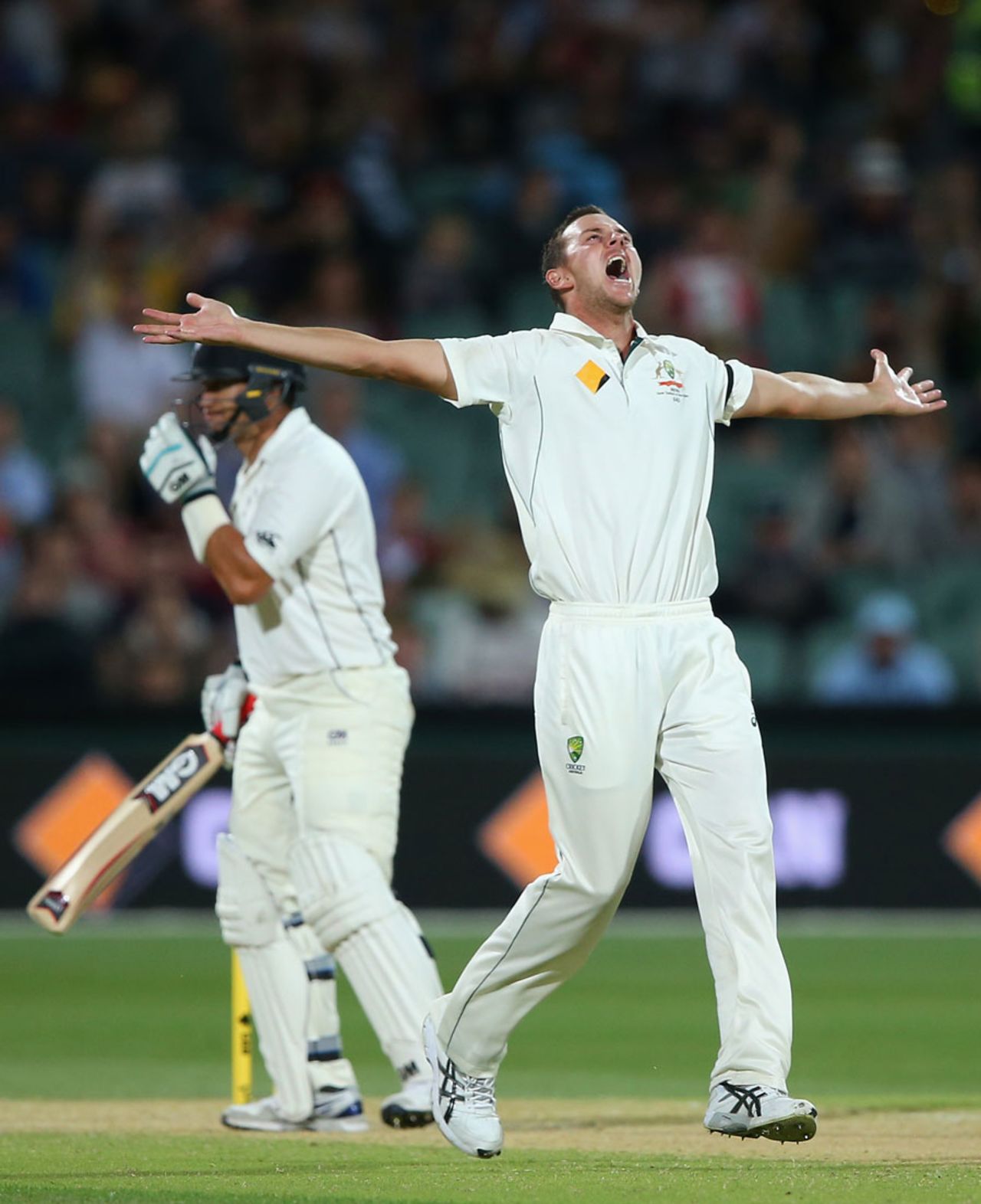 Josh Hazlewood trapped Ross Taylor lbw, Australia v New Zealand, 3rd Test, Adelaide, 2nd day, November 28, 2015
