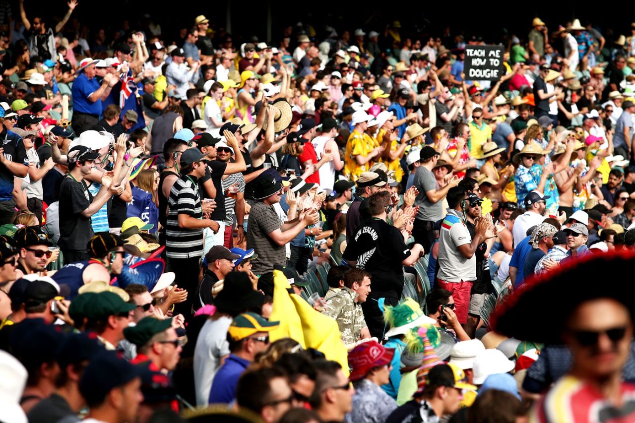 Fans enjoy themselves at the Adelaide Oval, Australia v New Zealand, 3rd Test, Adelaide, 2nd day, November 28, 2015