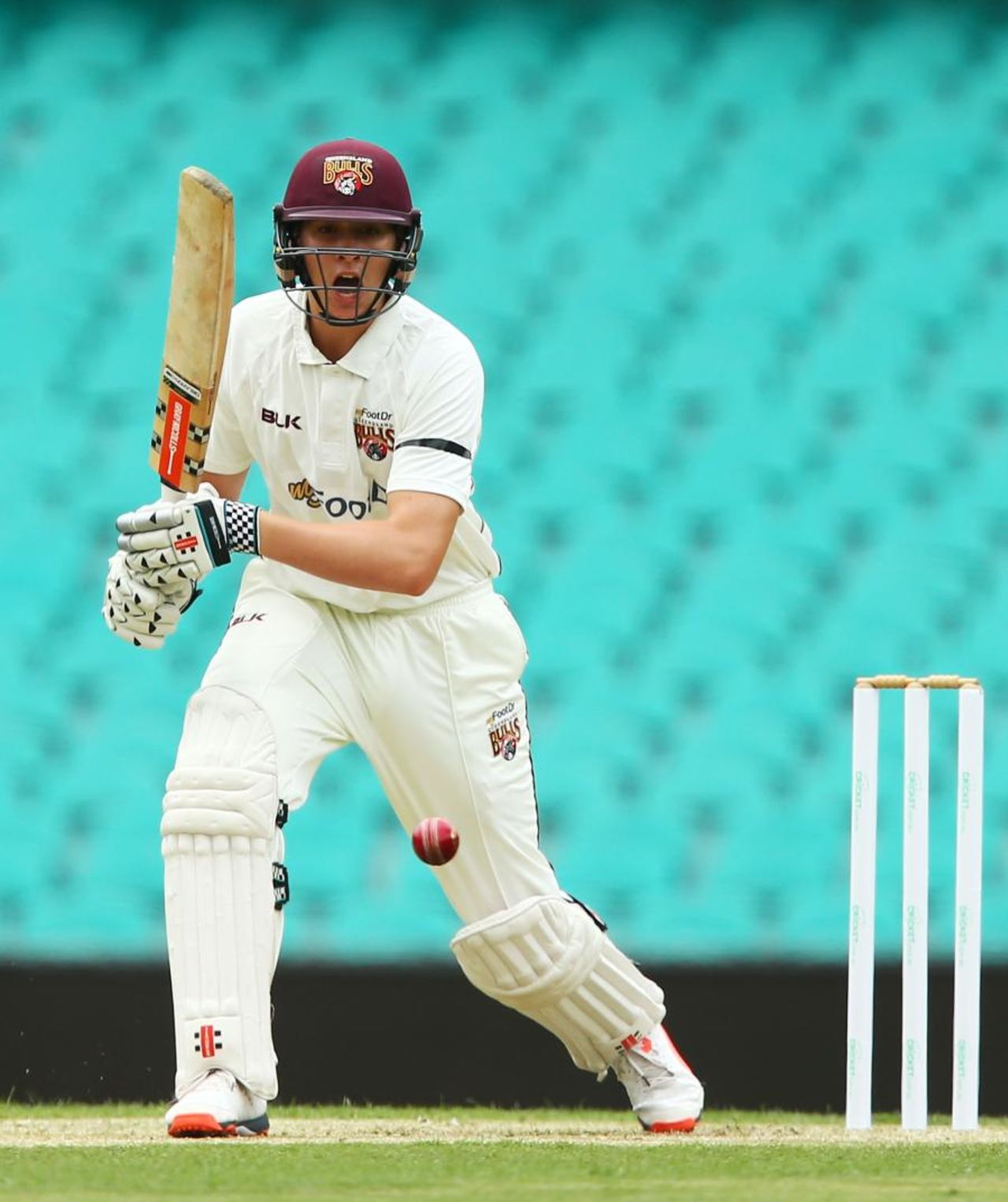 Matt Renshaw pushes to the off side, New South Wales v Queensland, Sheffield Shield, 1st day, November 27, 2015