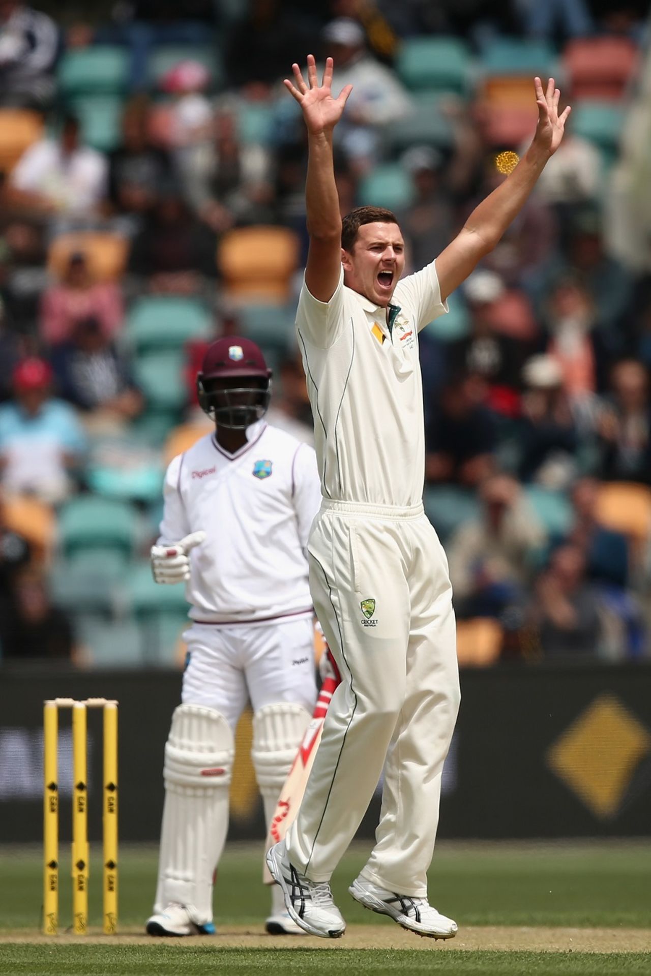 Josh Hazlewood finished with seven wickets in the match, Australia v West Indies, 1st Test, Hobart, 3rd day, December 12, 2015