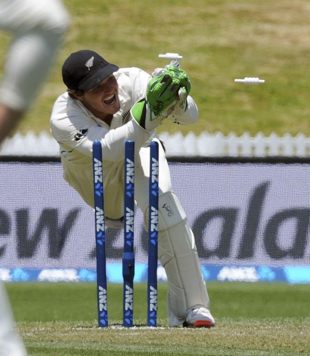 BJ Watling runs out Udara Jayasundera, New Zealand v Sri Lanka, 2nd Test, Hamilton, 1st day, December 18, 2015