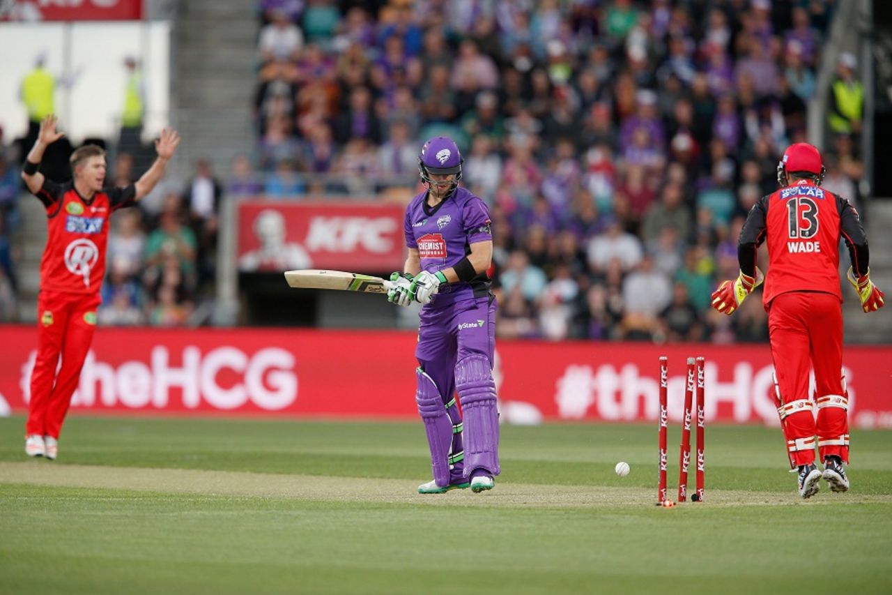 Tim Paine was bowled by Xavier Doherty for 2, Hobart Hurricans v Melbourne Renegades, BBL 2015-16, Hobart, January 4, 2016