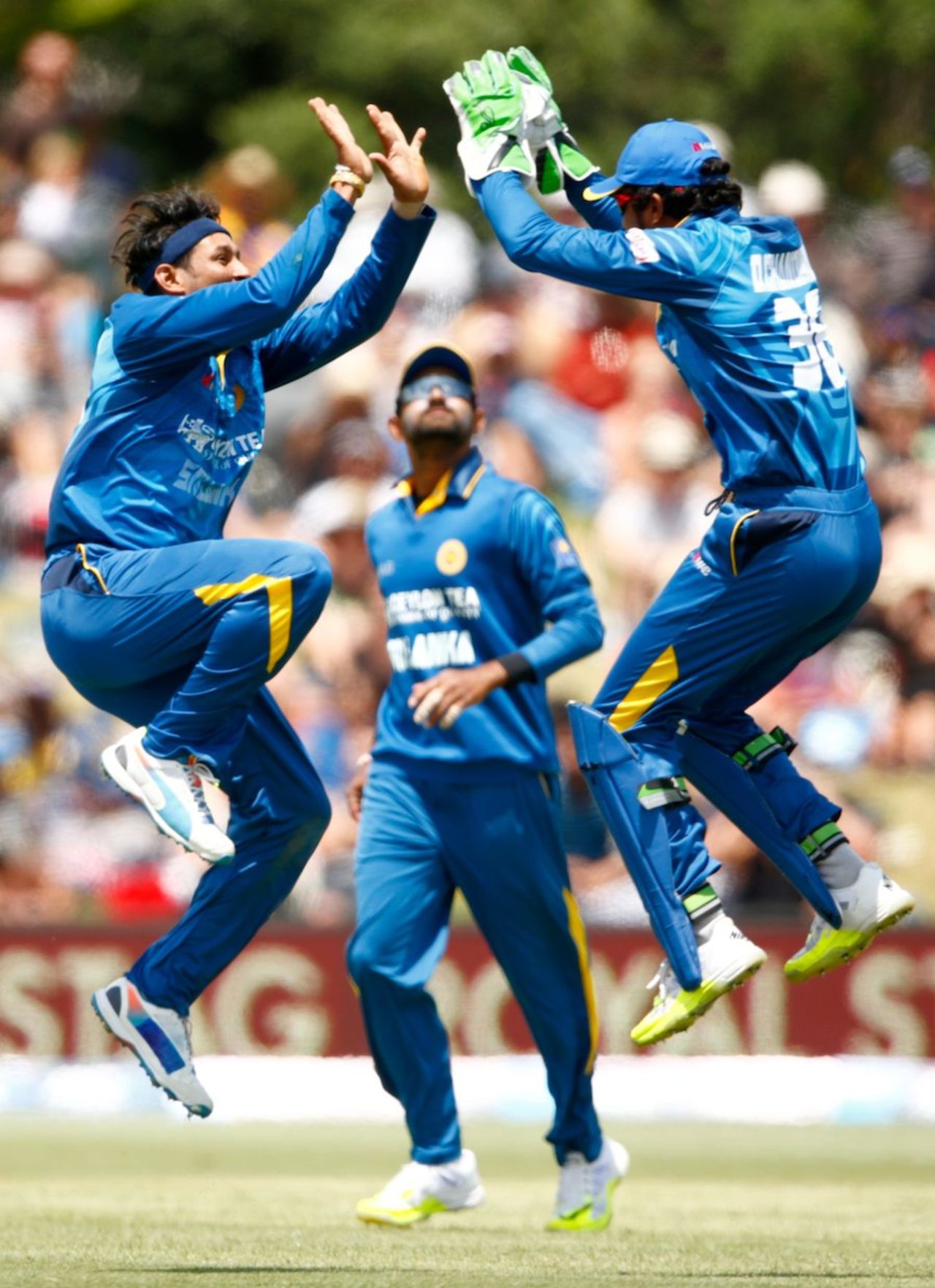Tillakaratne Dilshan and Dinesh Chandimal celebrate Kane Williamson's wicket, New Zealand v Sri Lanka, 5th ODI, Mount Maunganui, January 5, 2016