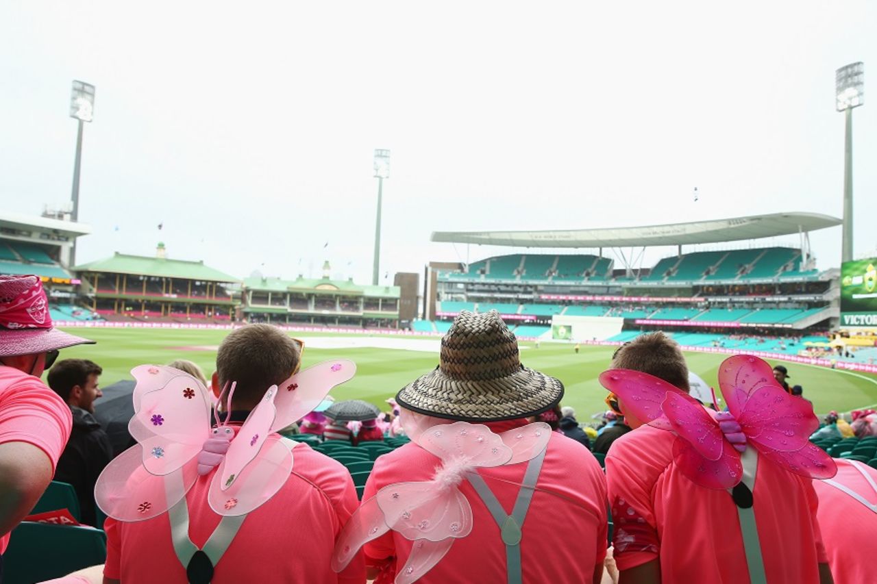 Fans turned up with butterfly wings at the SCG, Australia v West Indies, 3rd Test, Sydney, 3rd day, January 5, 2016