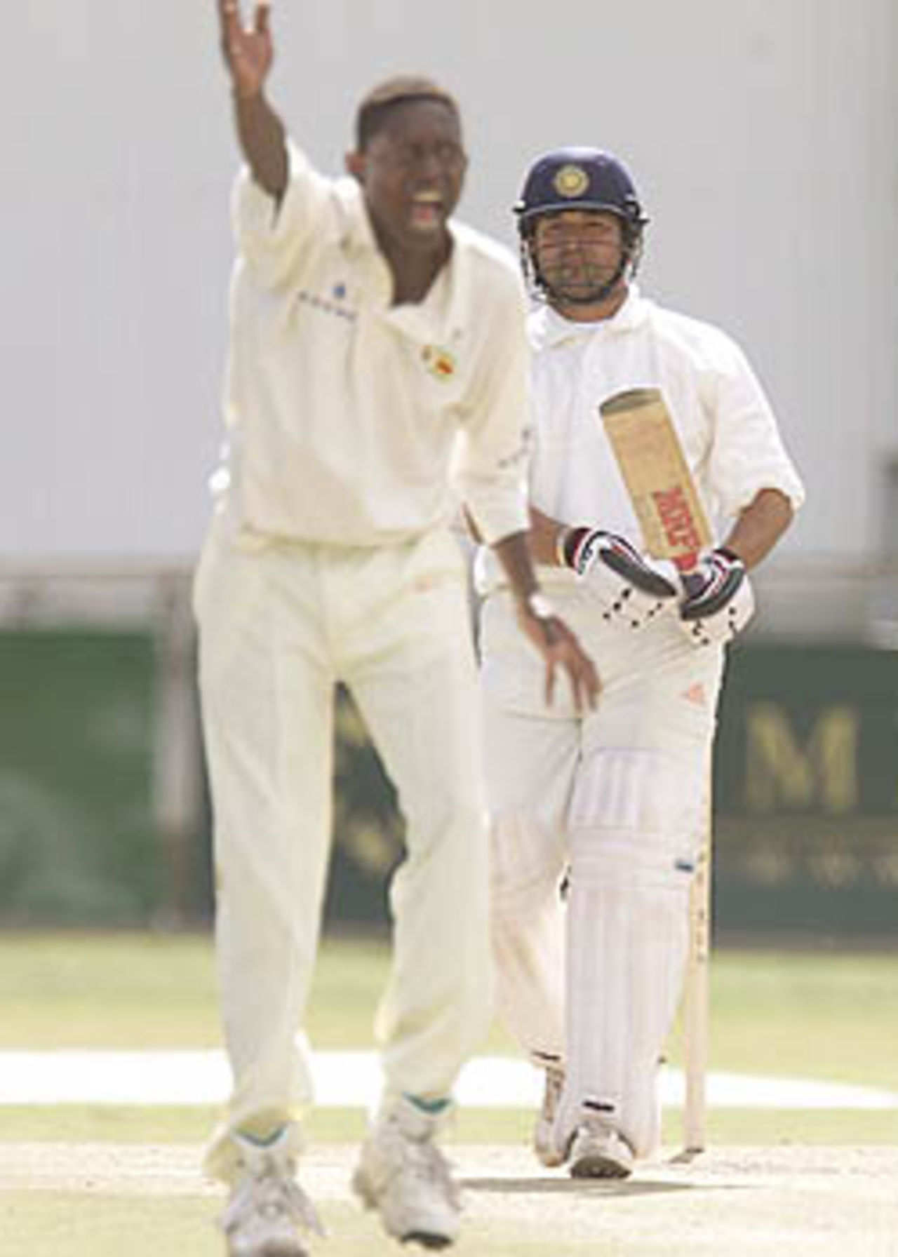 Brighton Watambwa has a loud shout against Sachin Tendulkar turned down, 1st Test, Zimbabwe v India, Queens Sports Club, Bulawayo, June 8, 2001