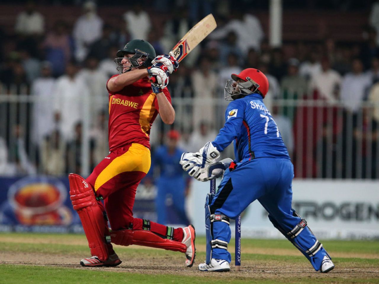 Peter Moor employs the pull, Afghanistan v Zimbabwe, 2nd T20I, Sharjah, January 10, 2016