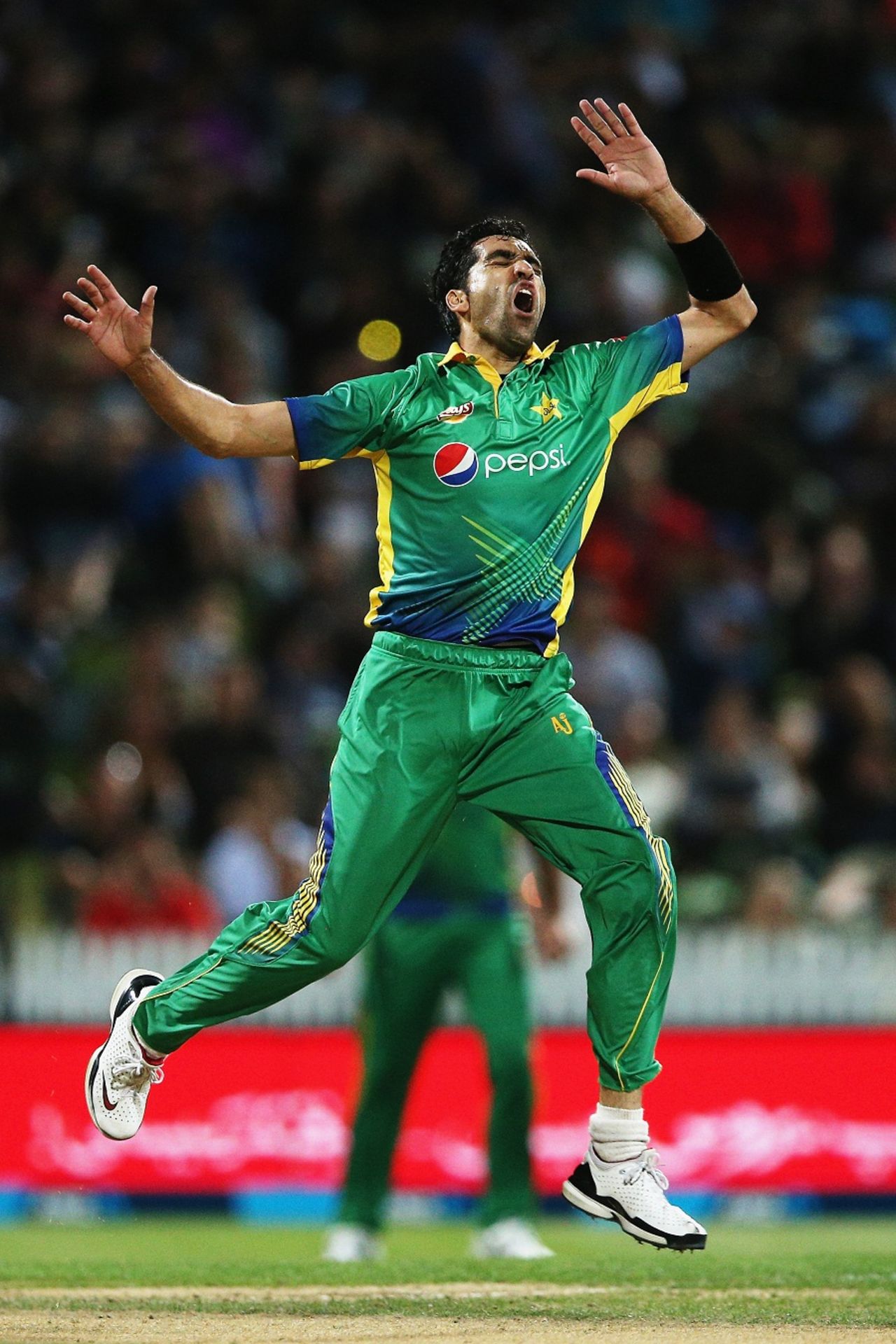 Umar Gul lets out a roar after a missed chance,  New Zealand v Pakistan, 2nd T20I, Hamilton, January 17, 2016
