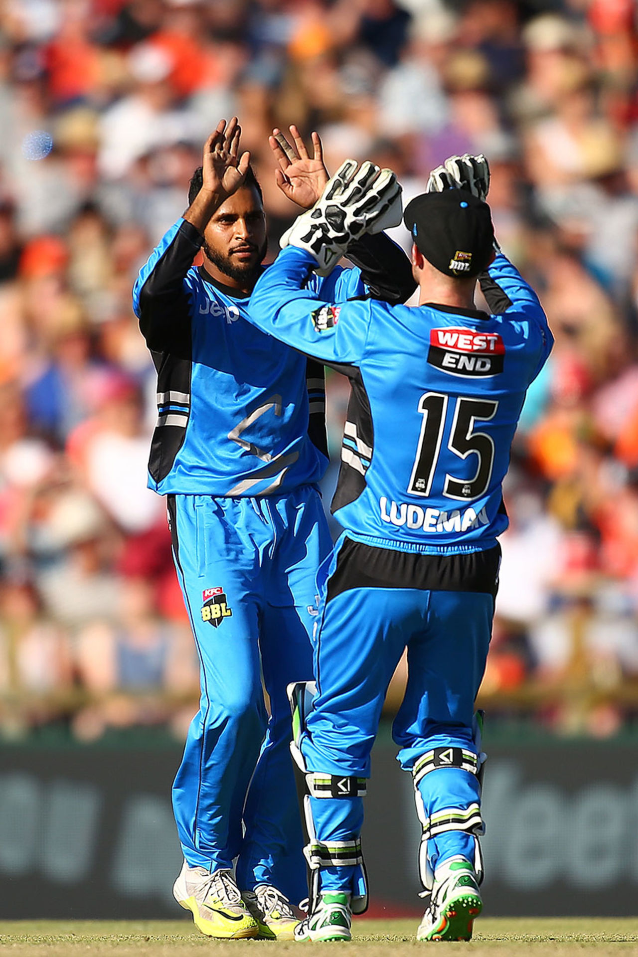 Adil Rashid claims another of his 15 group-stage wickets, Perth Scorchers v Adelaide Strikers, BBL 2015-16, Perth, December 21, 2016