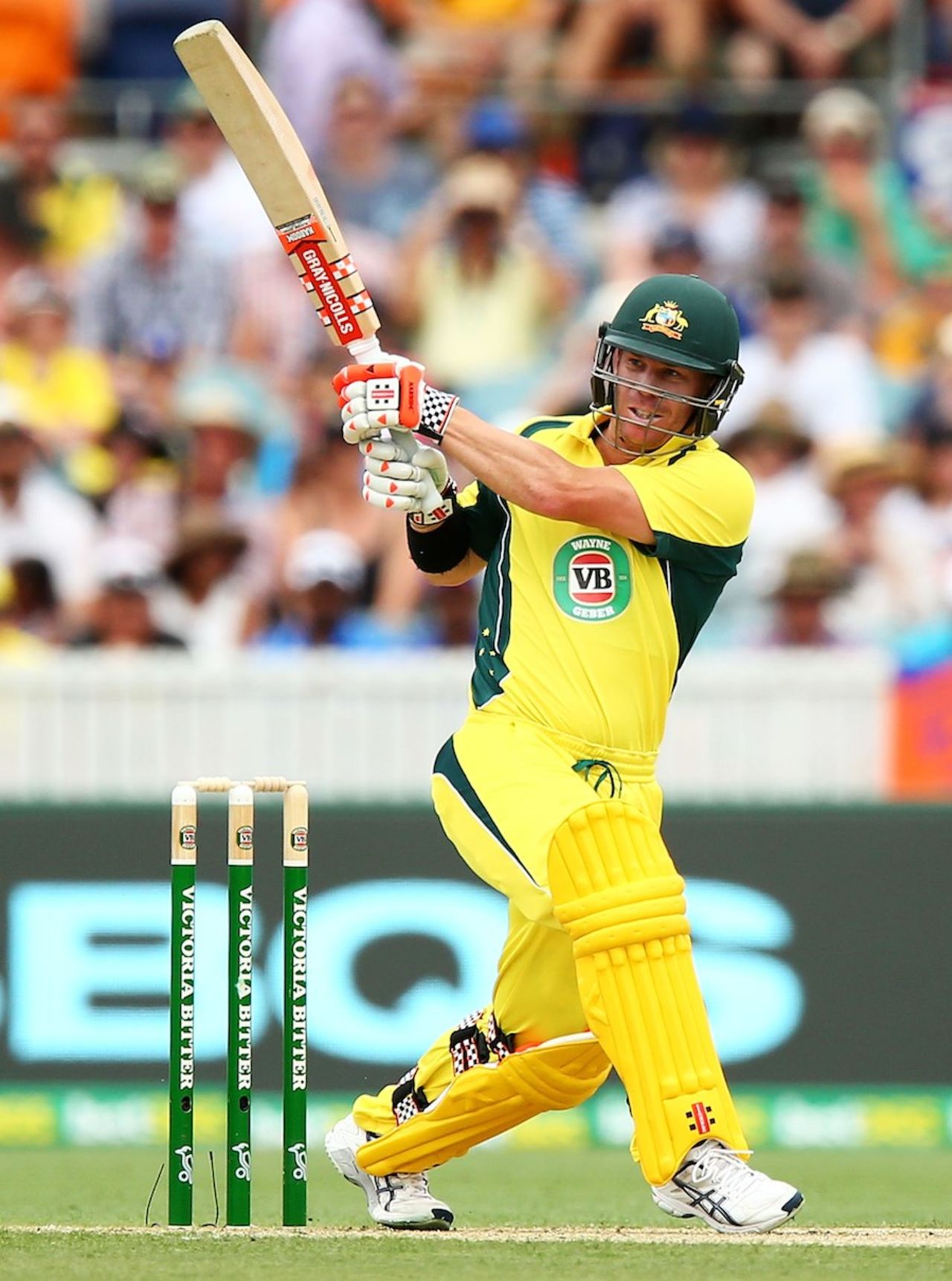 David Warner pulls, Australia v India, 4th ODI, Canberra, January 20, 2016