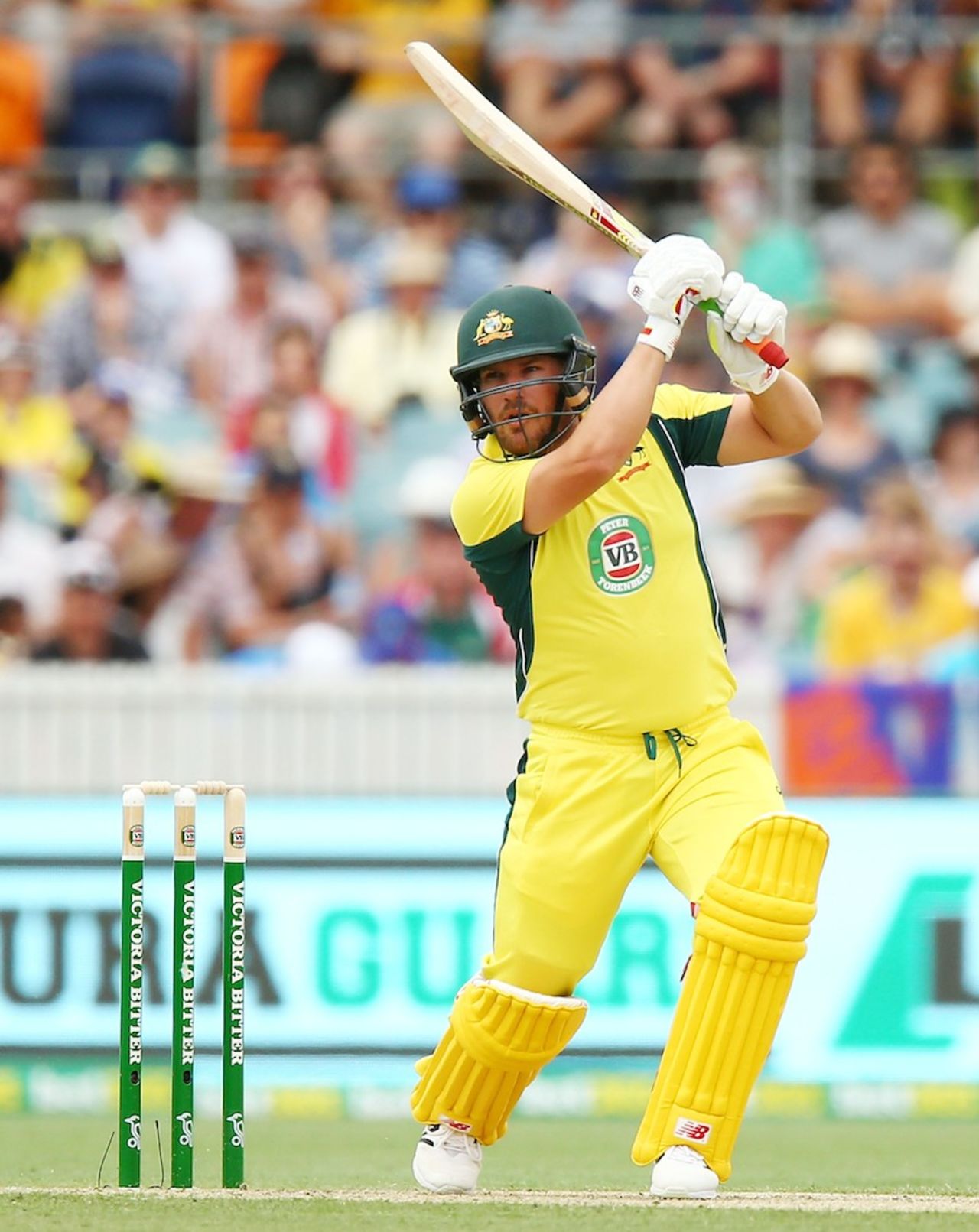 Aaron Finch hits through the off side, Australia v India, 4th ODI, Canberra, January 20, 2016
