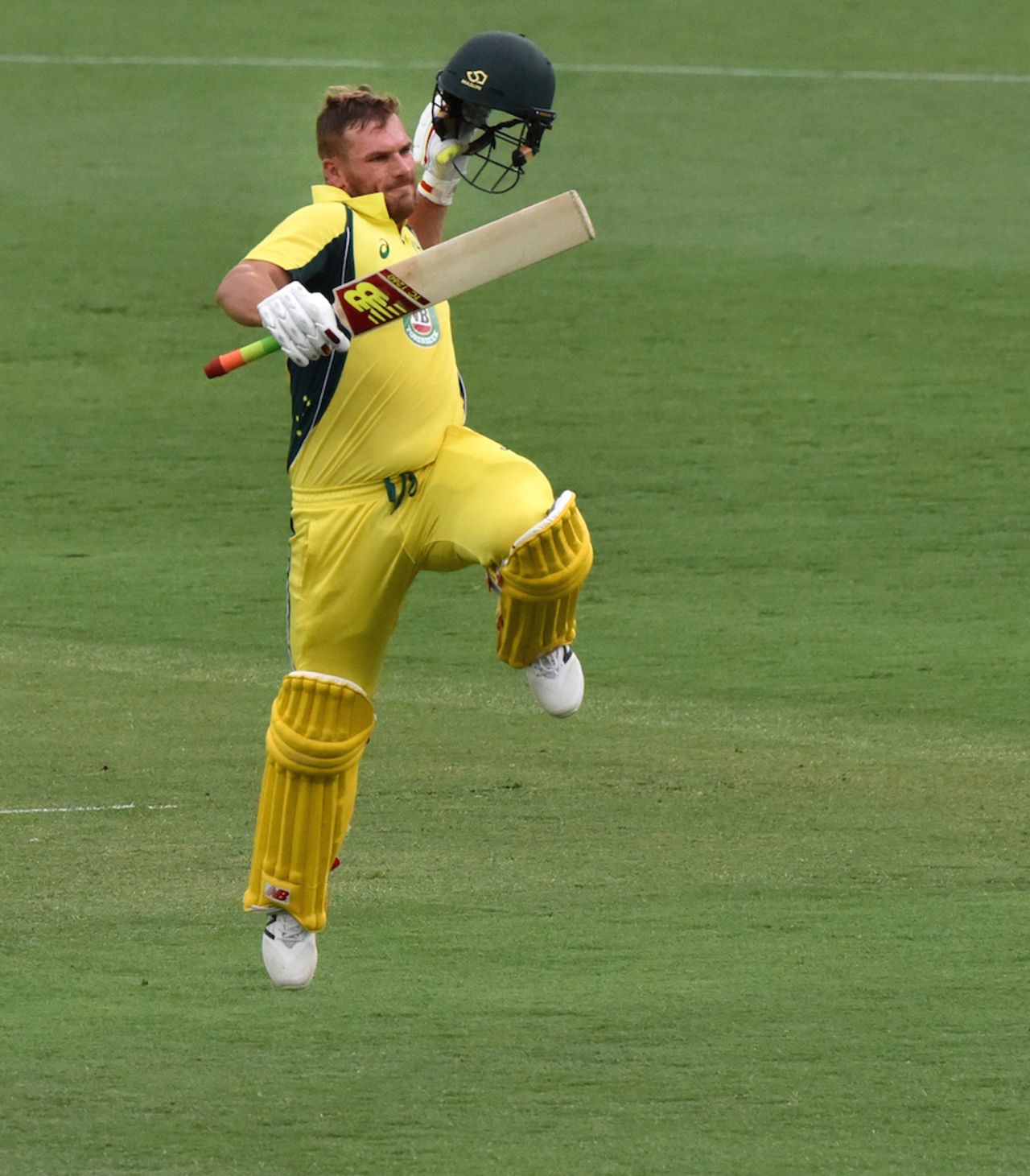 Not David Warner: Aaron Finch leaps to celebrate his seventh ODI hundred, Australia v India, 4th ODI, Canberra, January 20, 2016