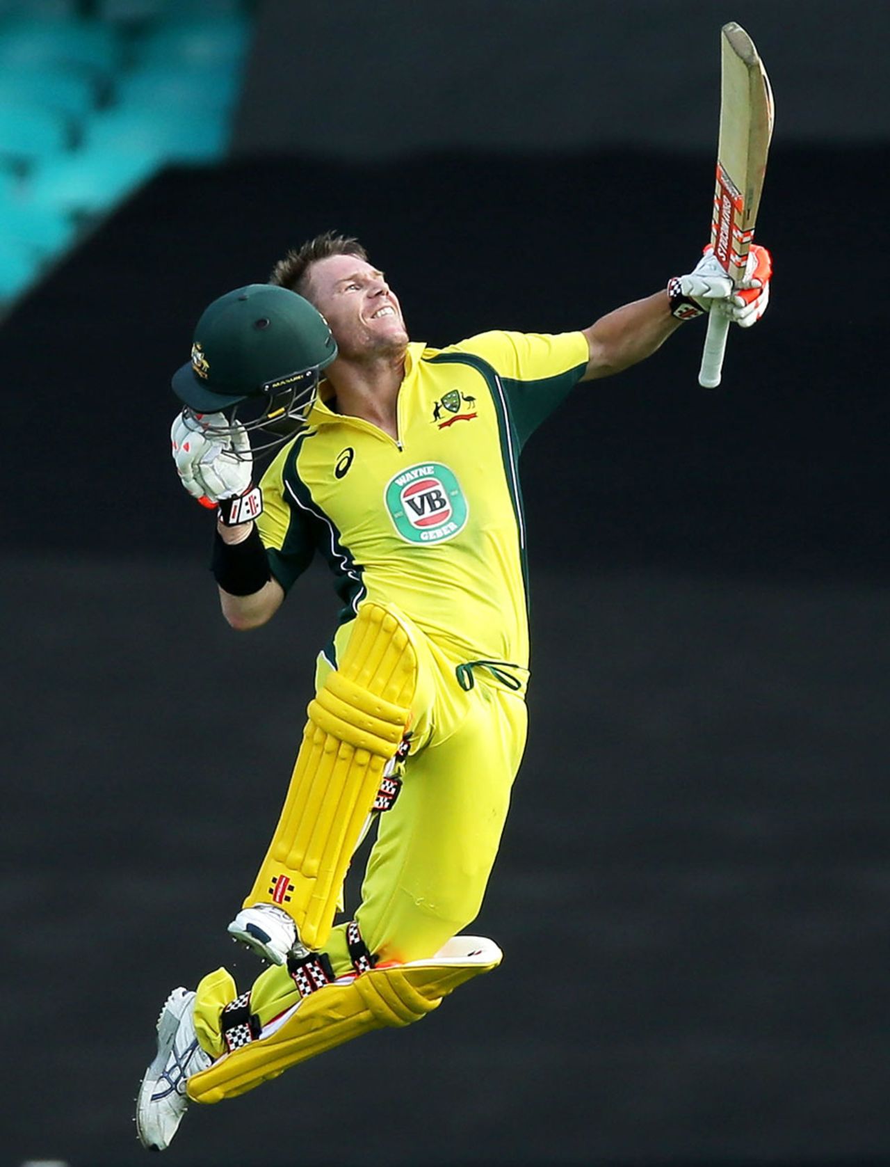 David Warner leaps on reaching his fifth ODI century, Australia v India, 5th ODI, Sydney, January 23, 2016