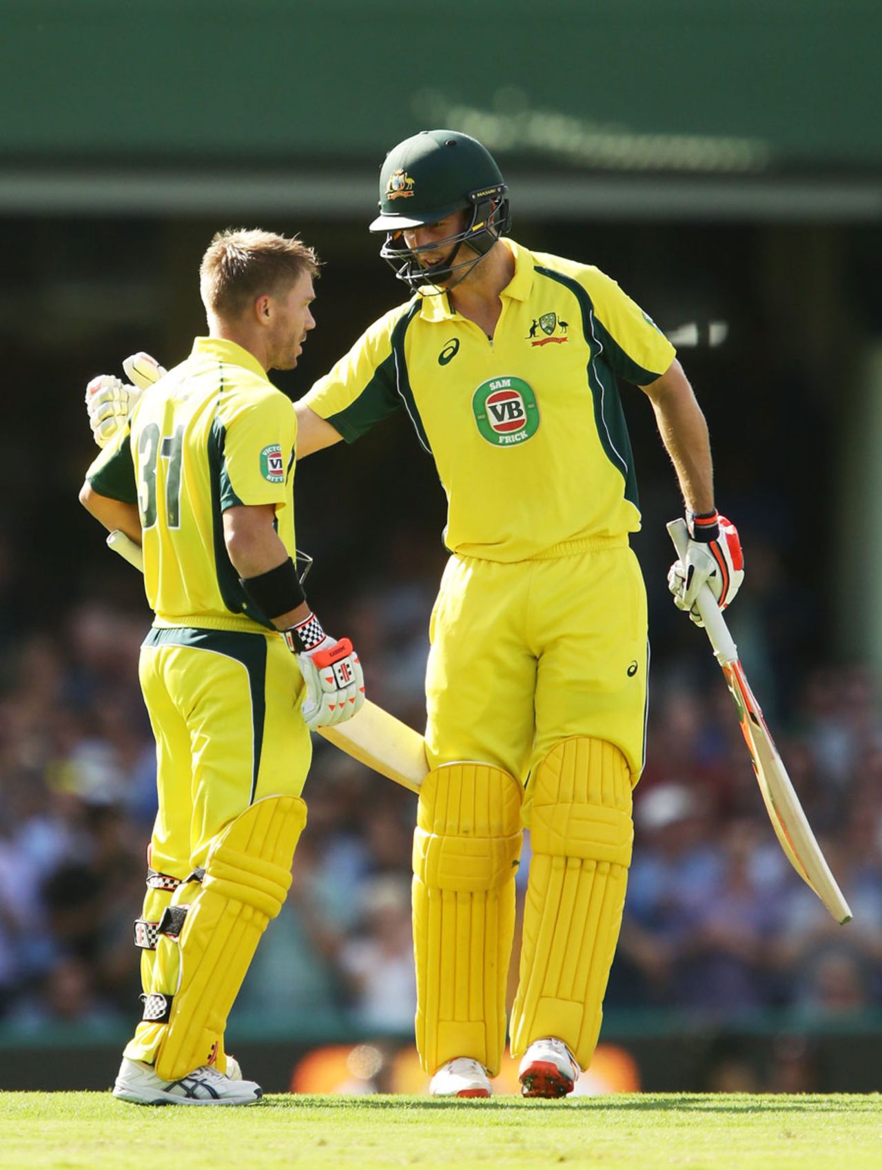 Mitchell Marsh congratulates David Warner on his ton, Australia v India, 5th ODI, Sydney, January 23, 2016