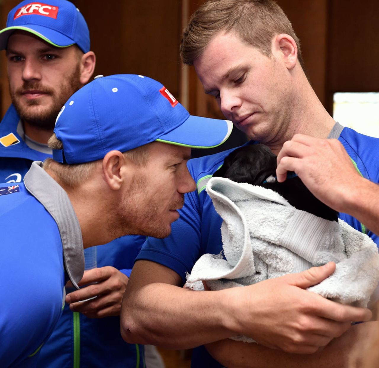 David Warner and Steven Smith play with a puppy guide dog, Adelaide, January 25, 2016