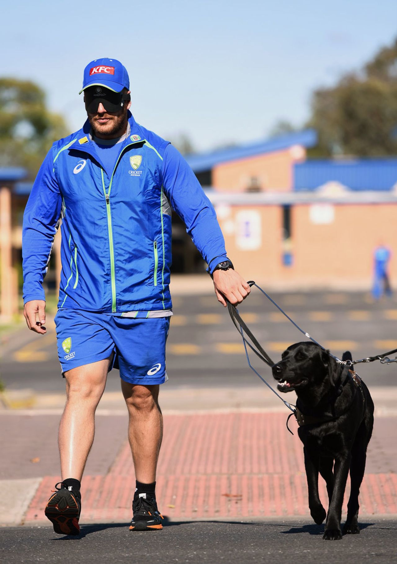 Aaron Finch walks with a guide dog, Adelaide, January 25, 2016