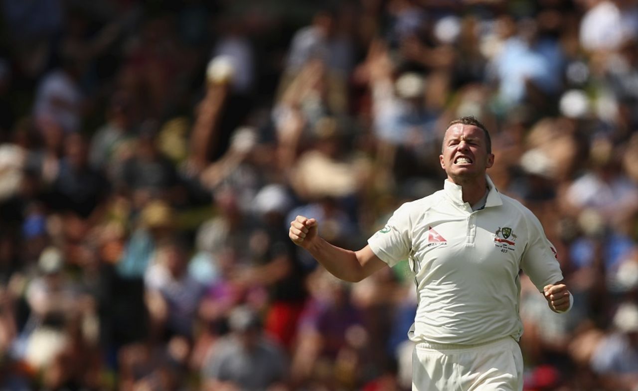 Peter Siddle removed Kane Williamson off his second ball of the match, New Zealand v Australia, 1st Test, Wellington, 1st day, February 12, 2016, 